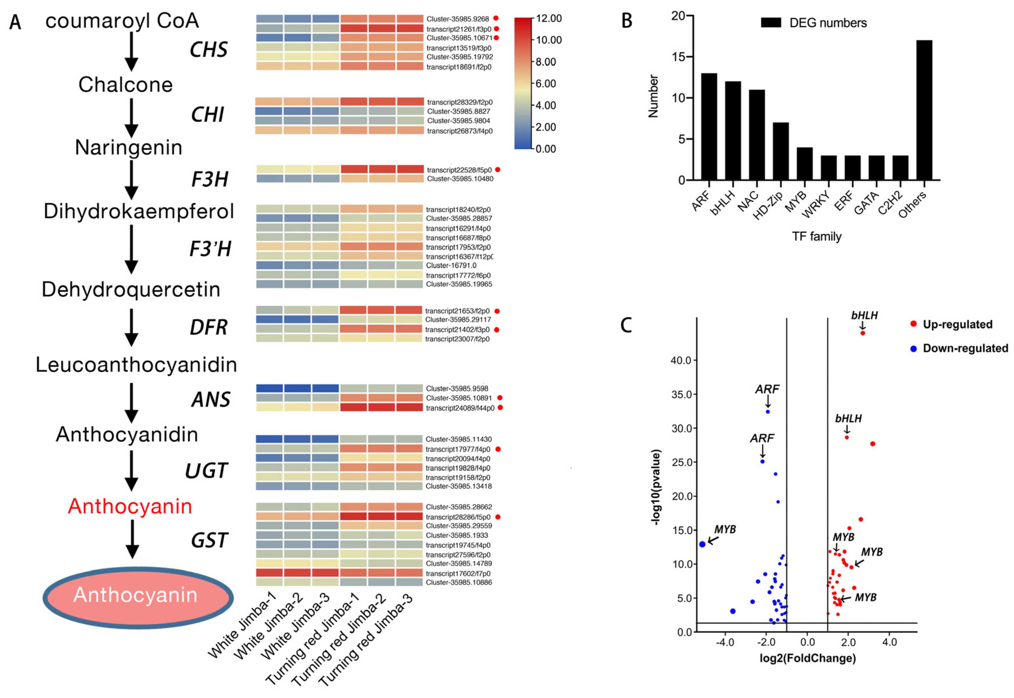 Ijms 22 12769 g003 Ijms 22 12769 g003
