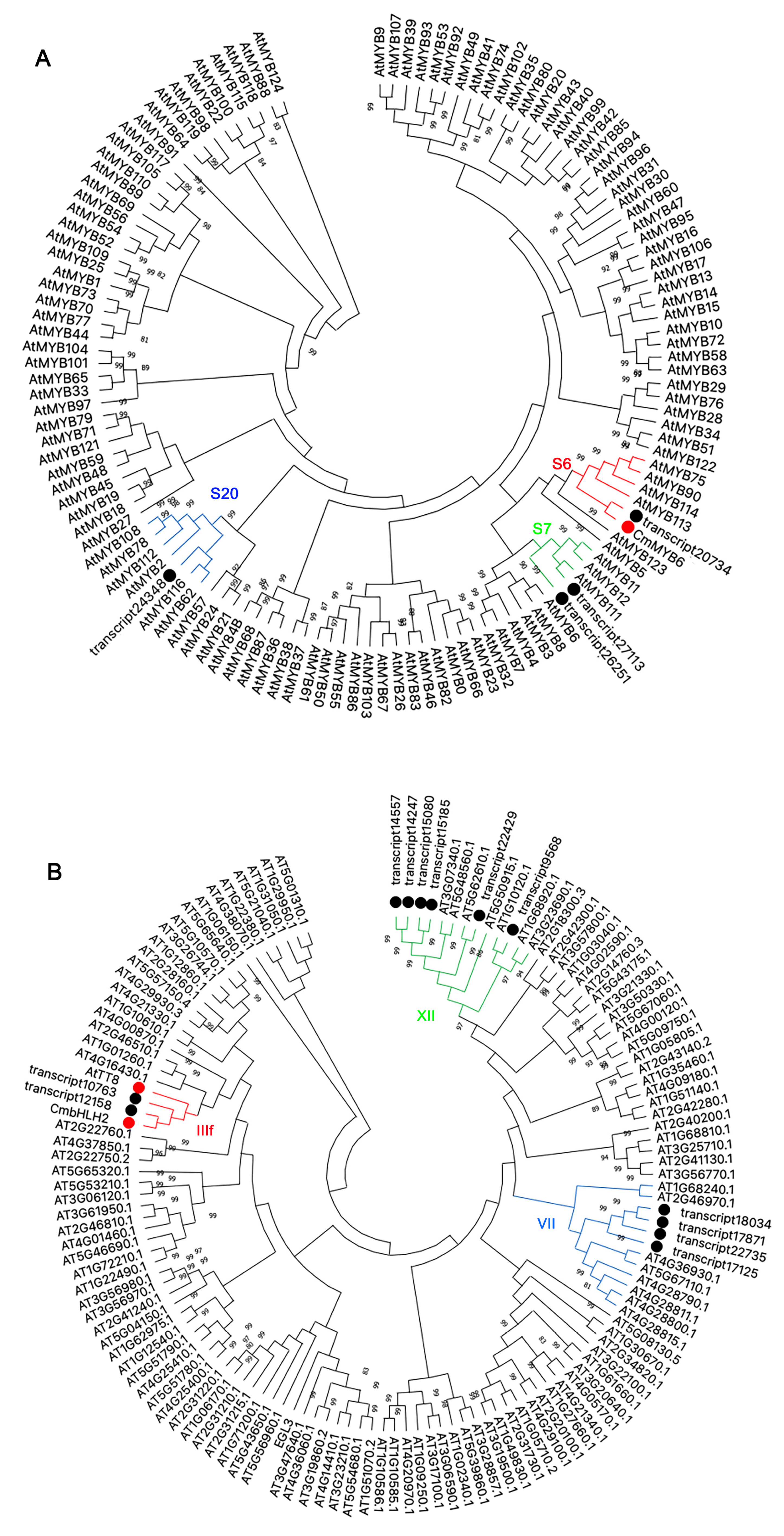 Ijms 22 12769 g004 Ijms 22 12769 g004