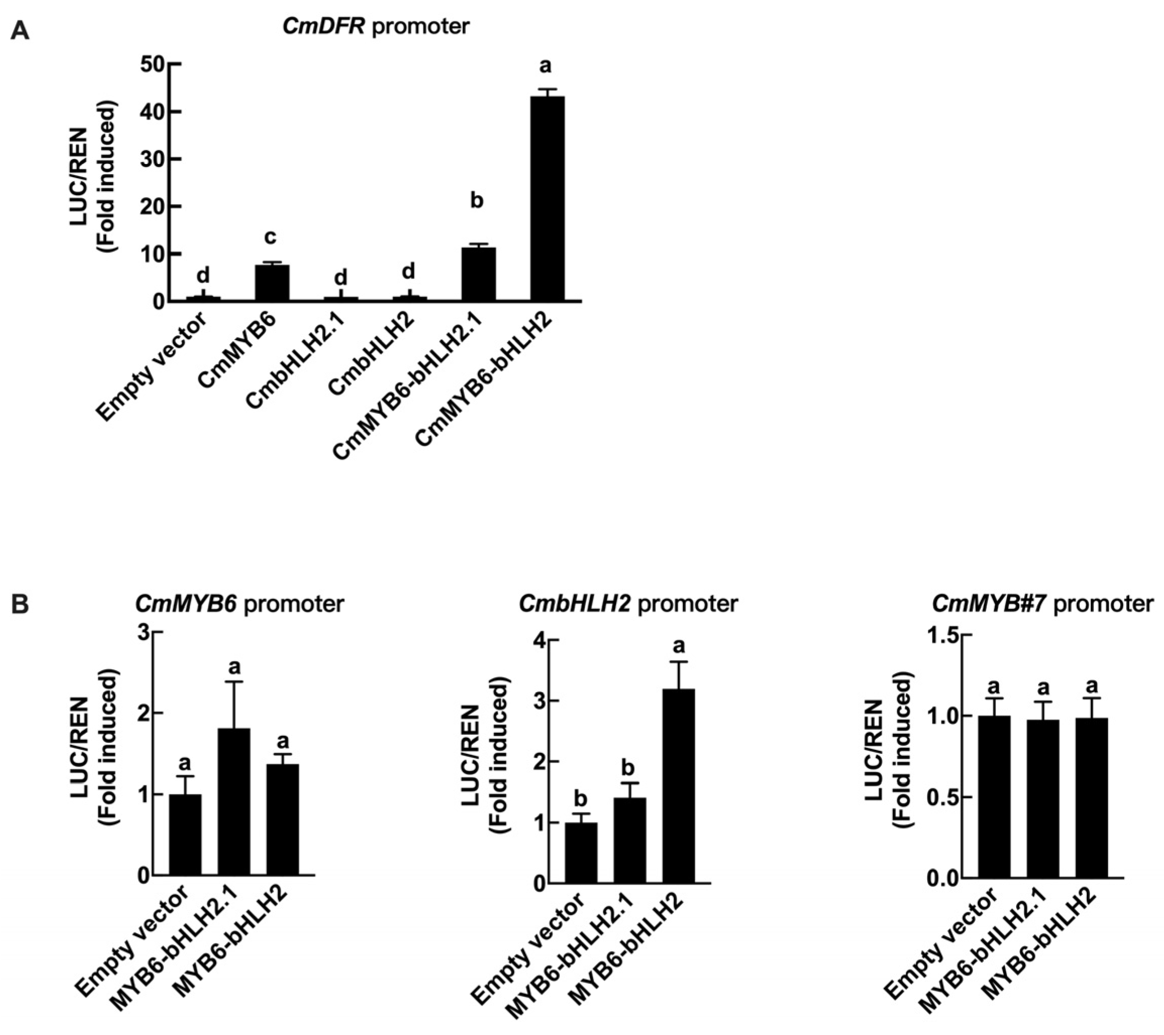 Ijms 22 12769 g008 Ijms 22 12769 g008