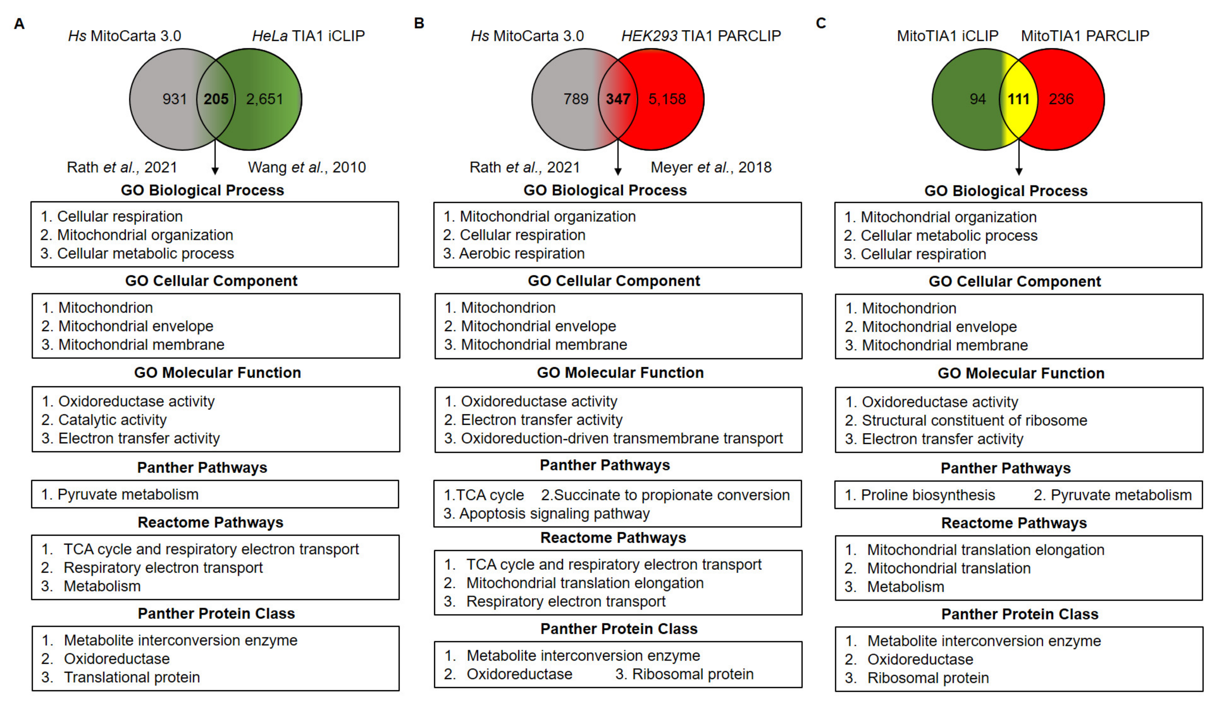 Ijms 22 12775 g005 Ijms 22 12775 g005