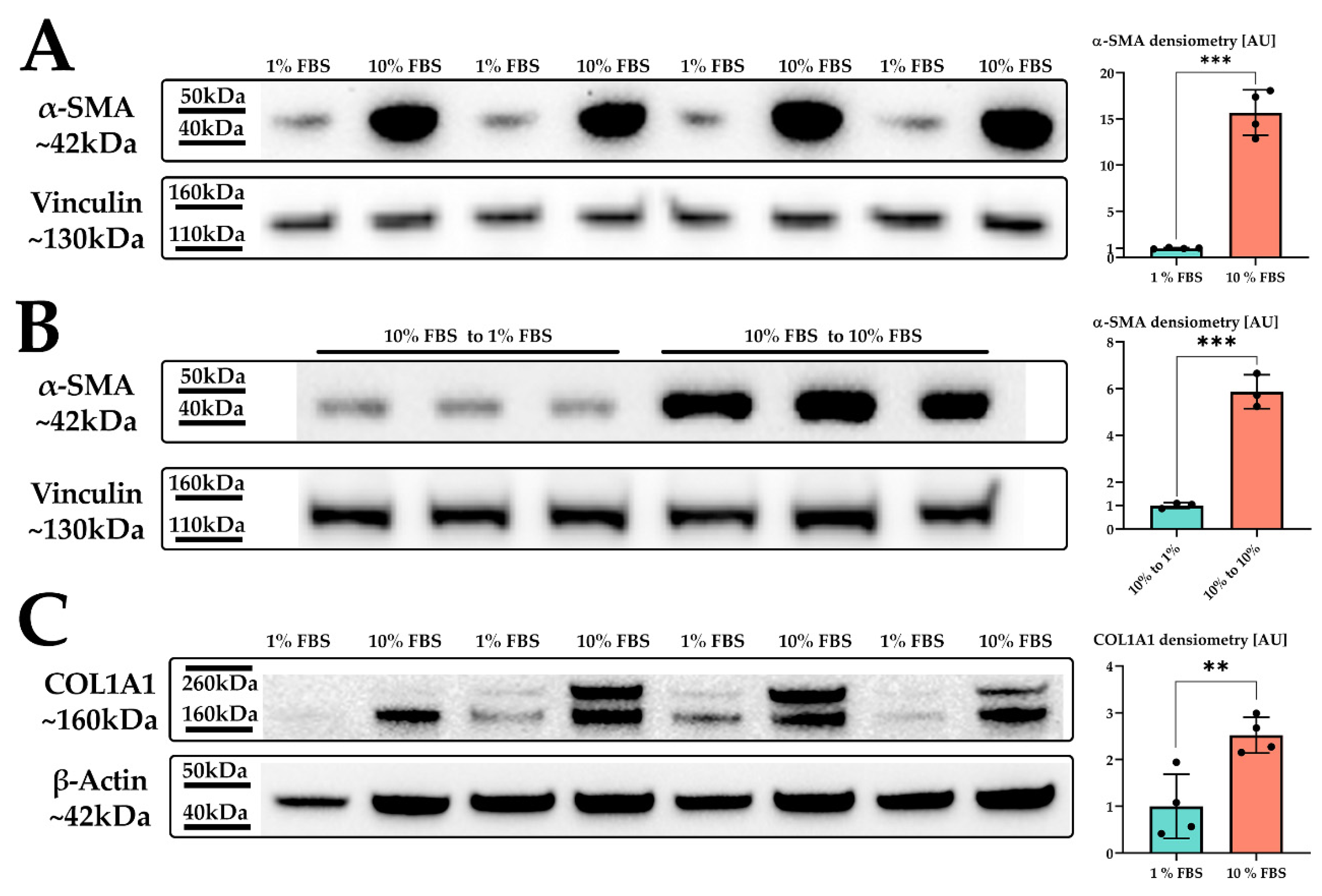 Ijms 22 12782 g001 Ijms 22 12782 g001