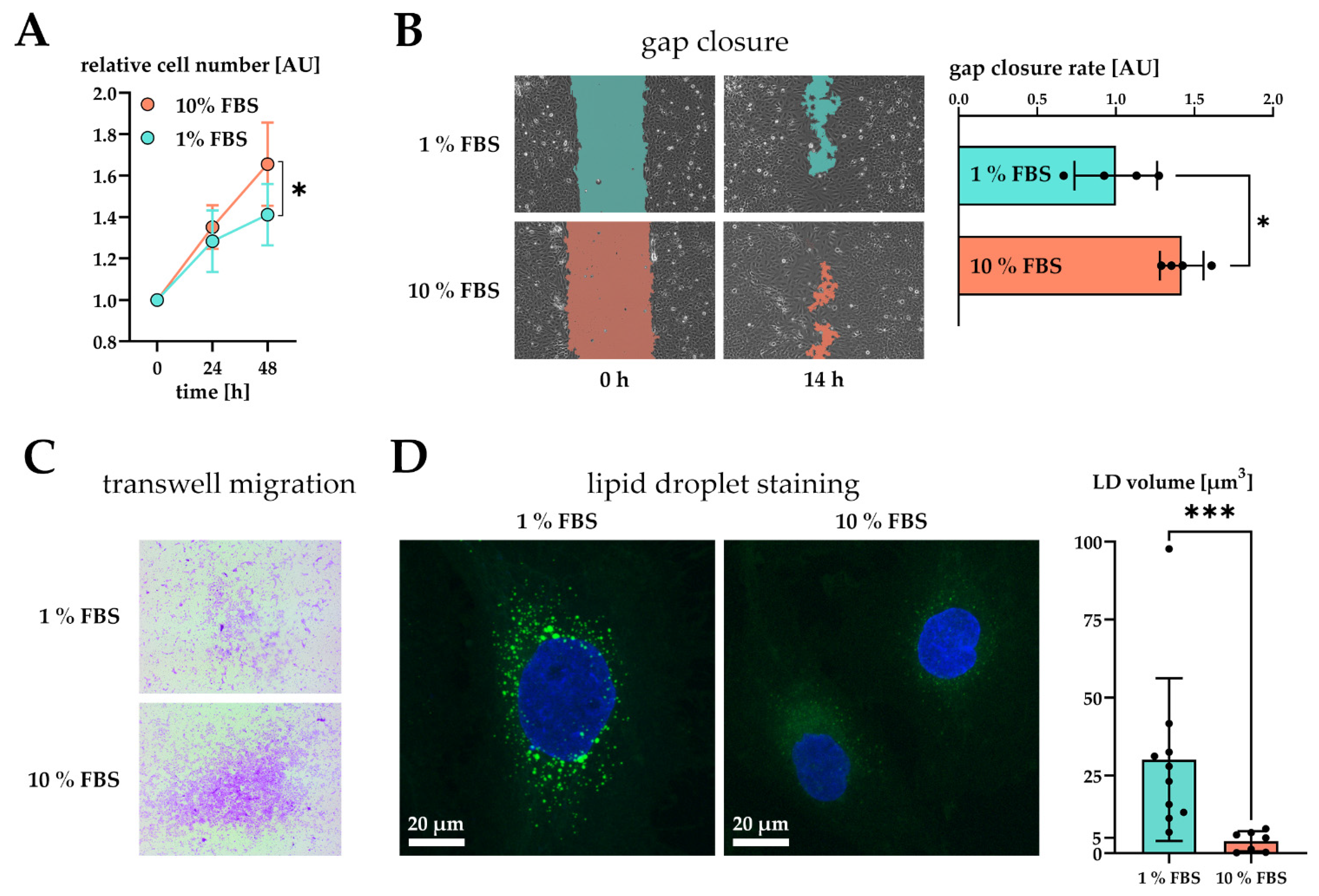 Ijms 22 12782 g002 Ijms 22 12782 g002