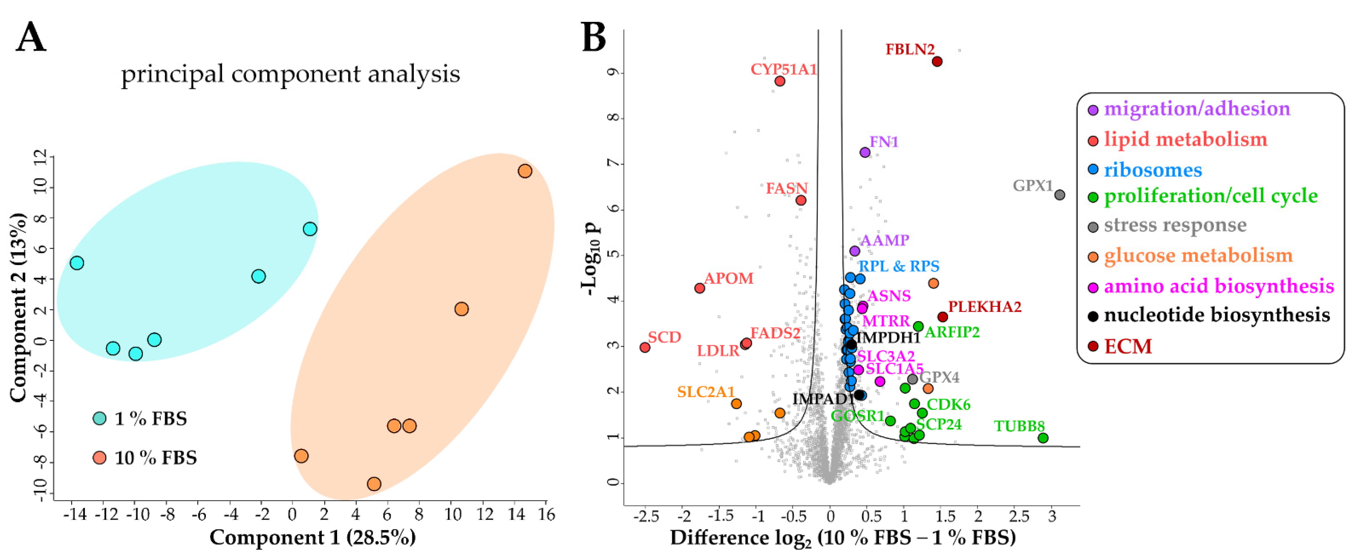 Ijms 22 12782 g003 Ijms 22 12782 g003