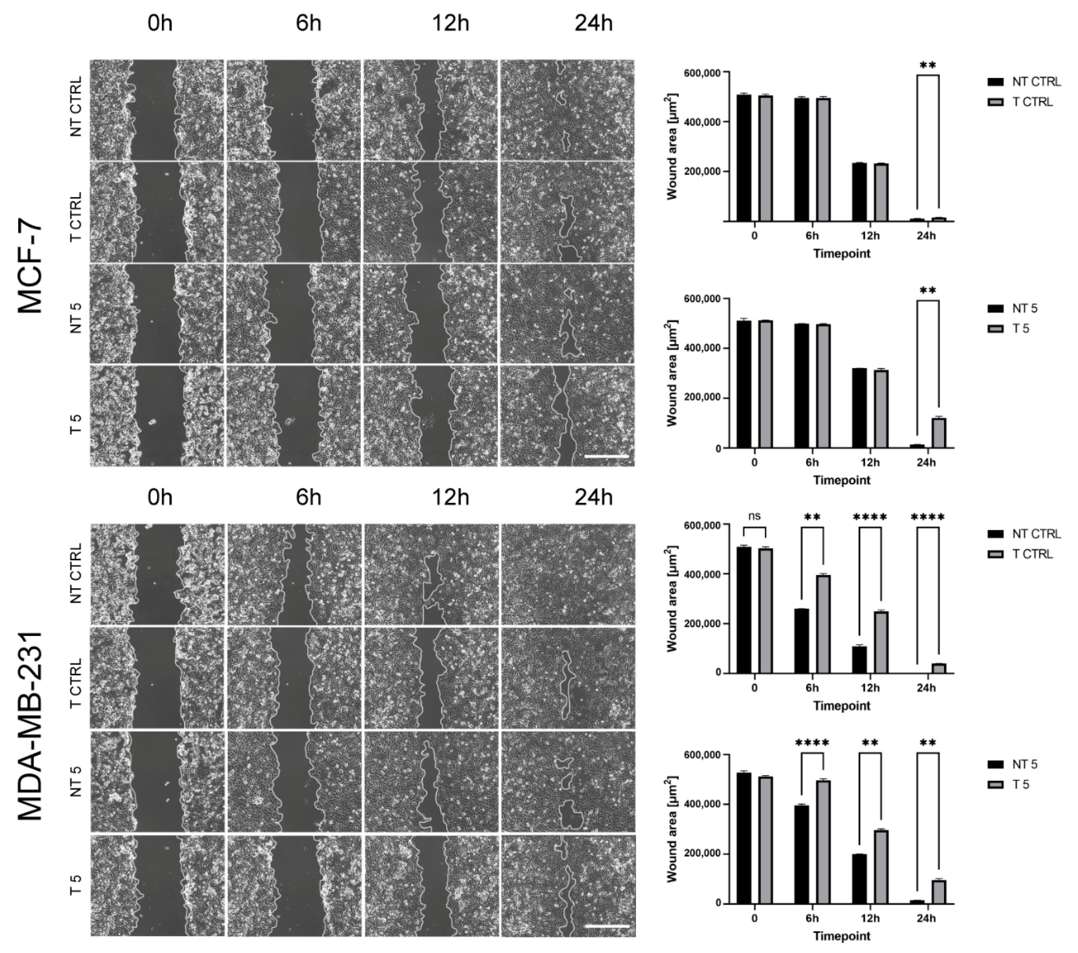 Ijms 22 12783 g005 550