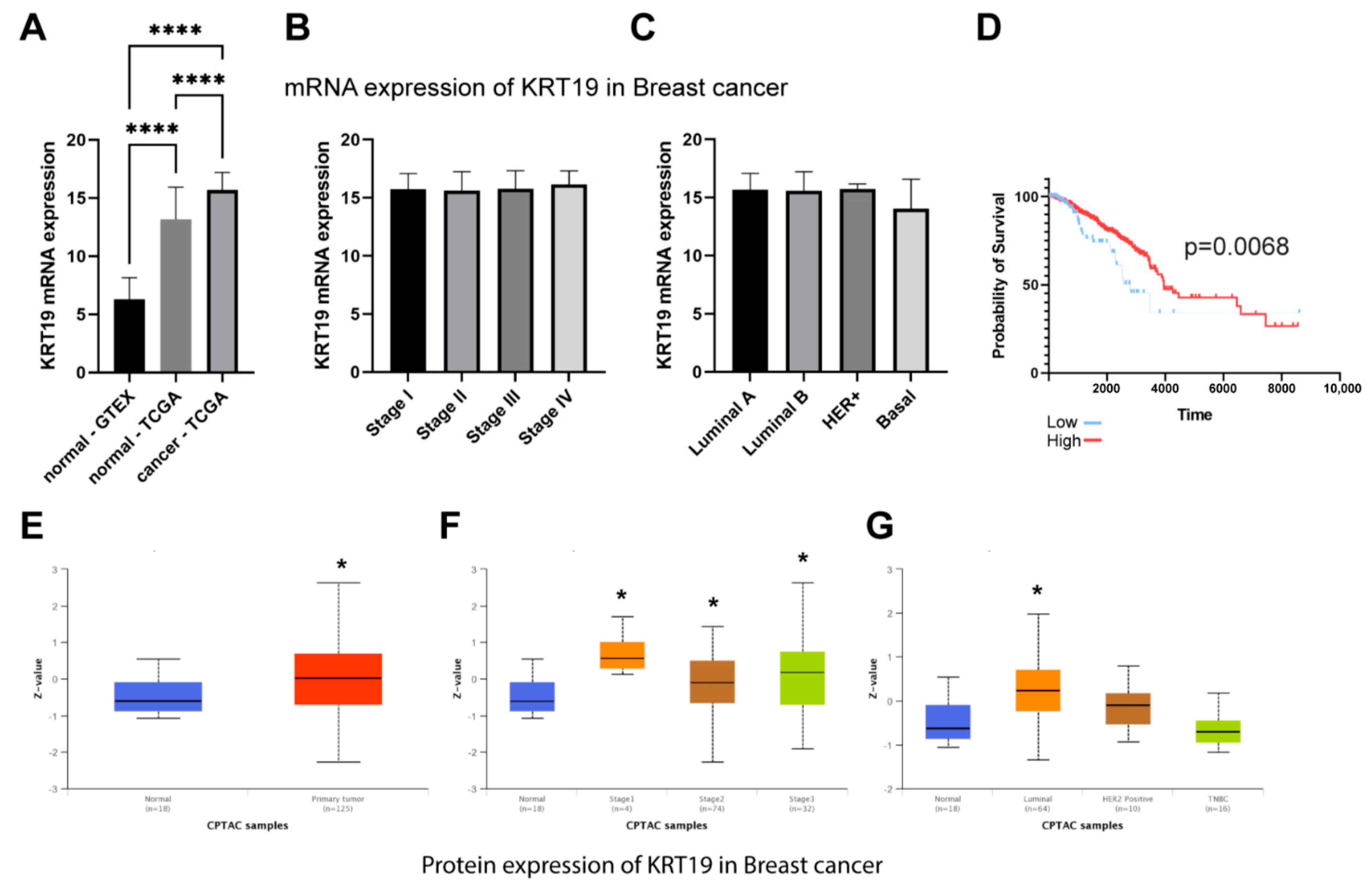 Ijms 22 12783 g007 550