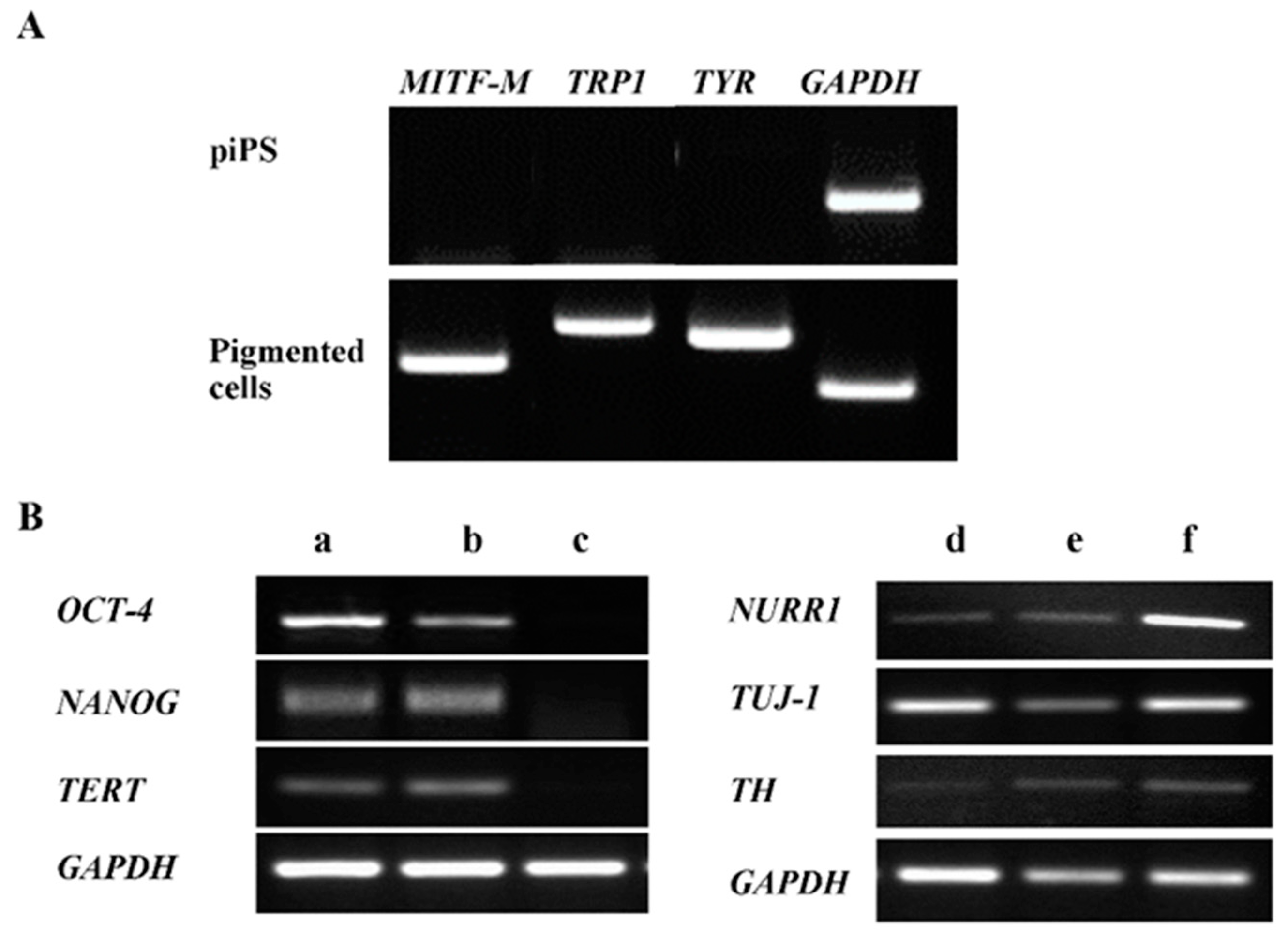 Ijms 22 12787 g003 550