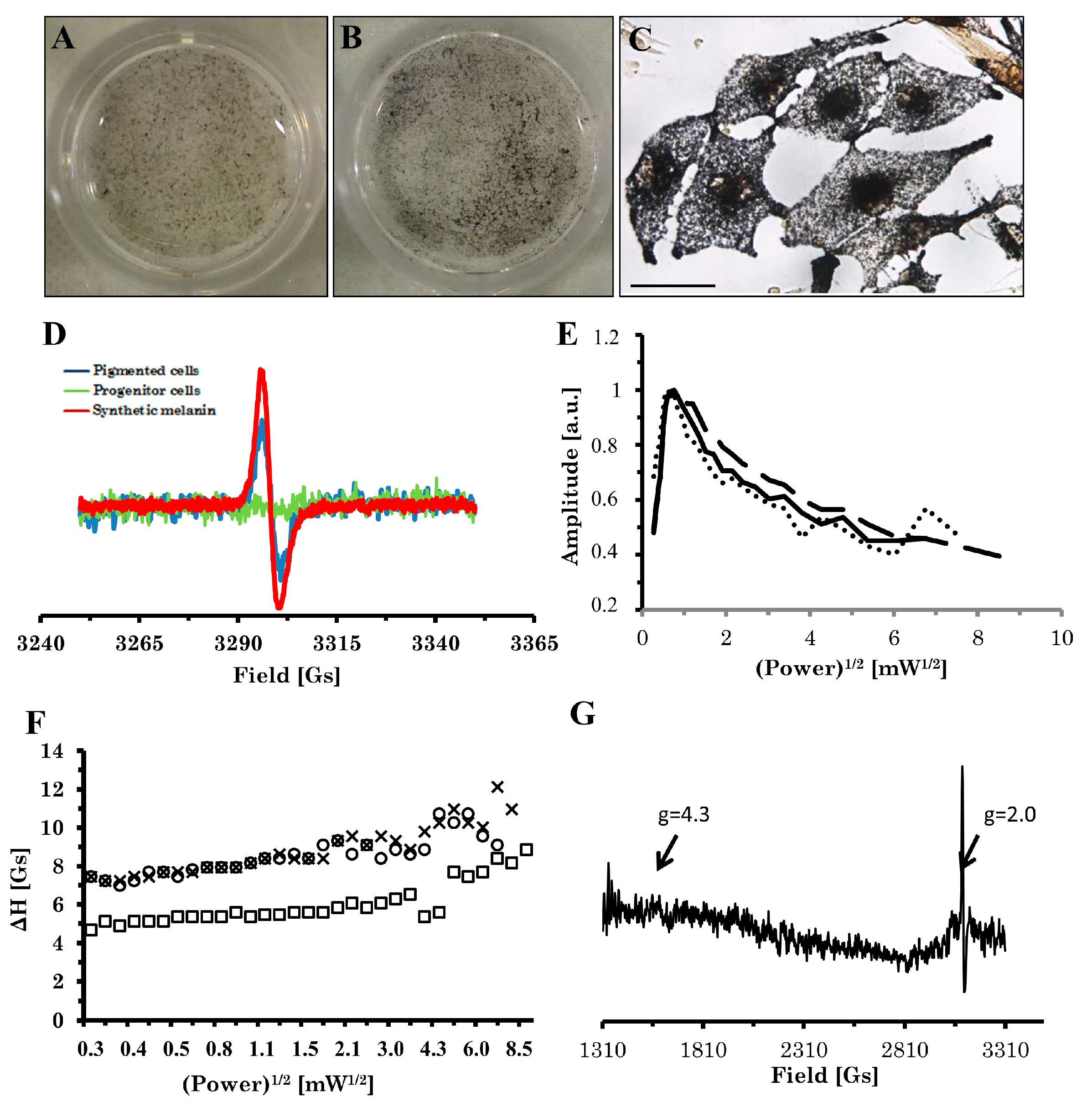 Ijms 22 12787 g005 550