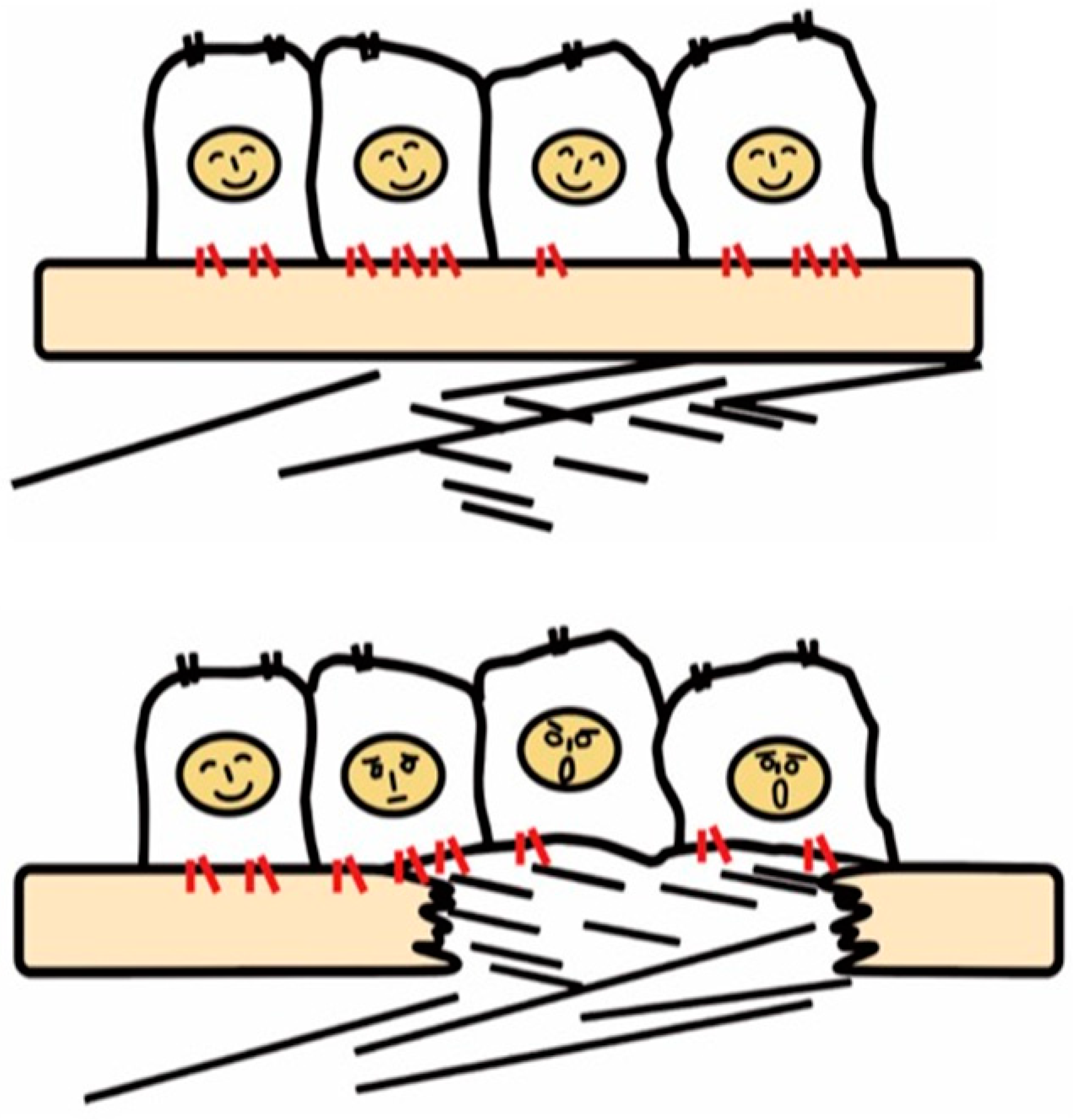 Ijms 22 12794 g001 Ijms 22 12794 g001