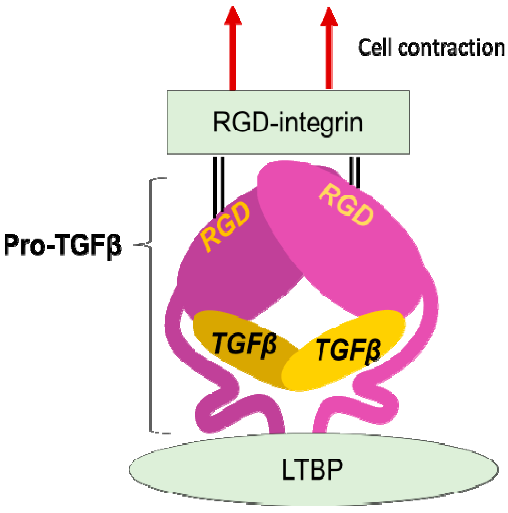 Ijms 22 12794 g002 Ijms 22 12794 g002