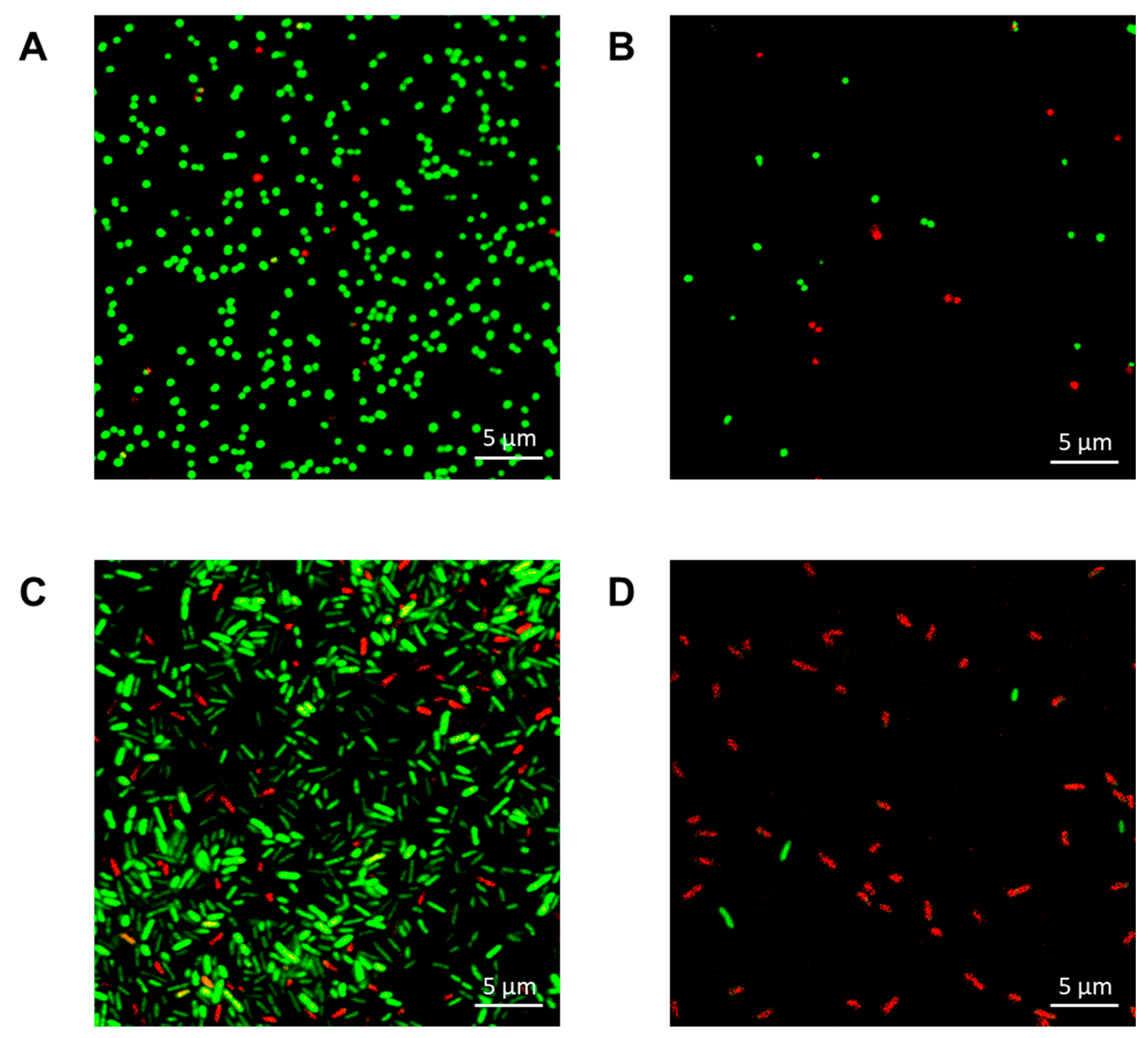 Ijms 22 12796 g007 550