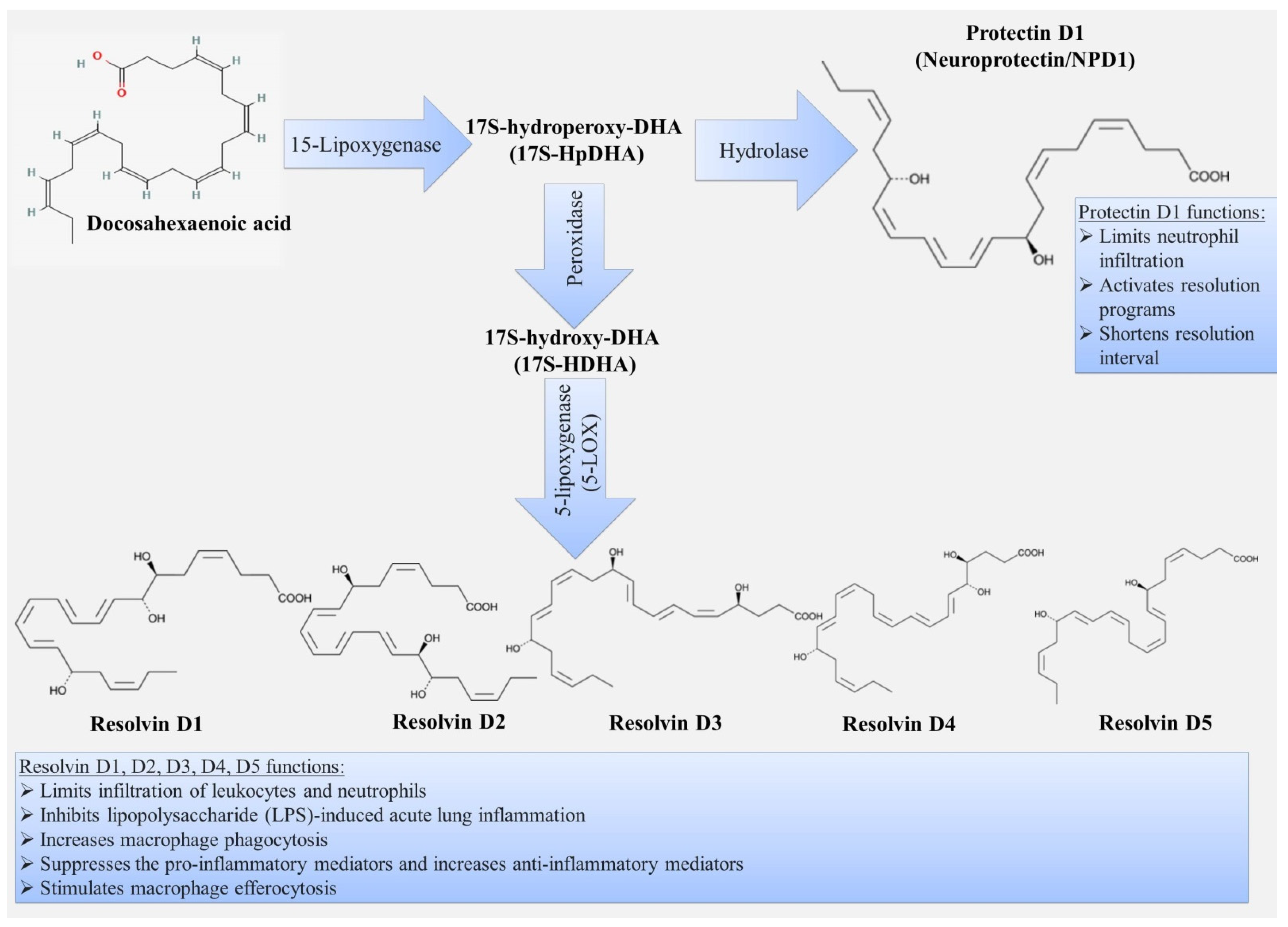 Ijms 22 12803 g004 550