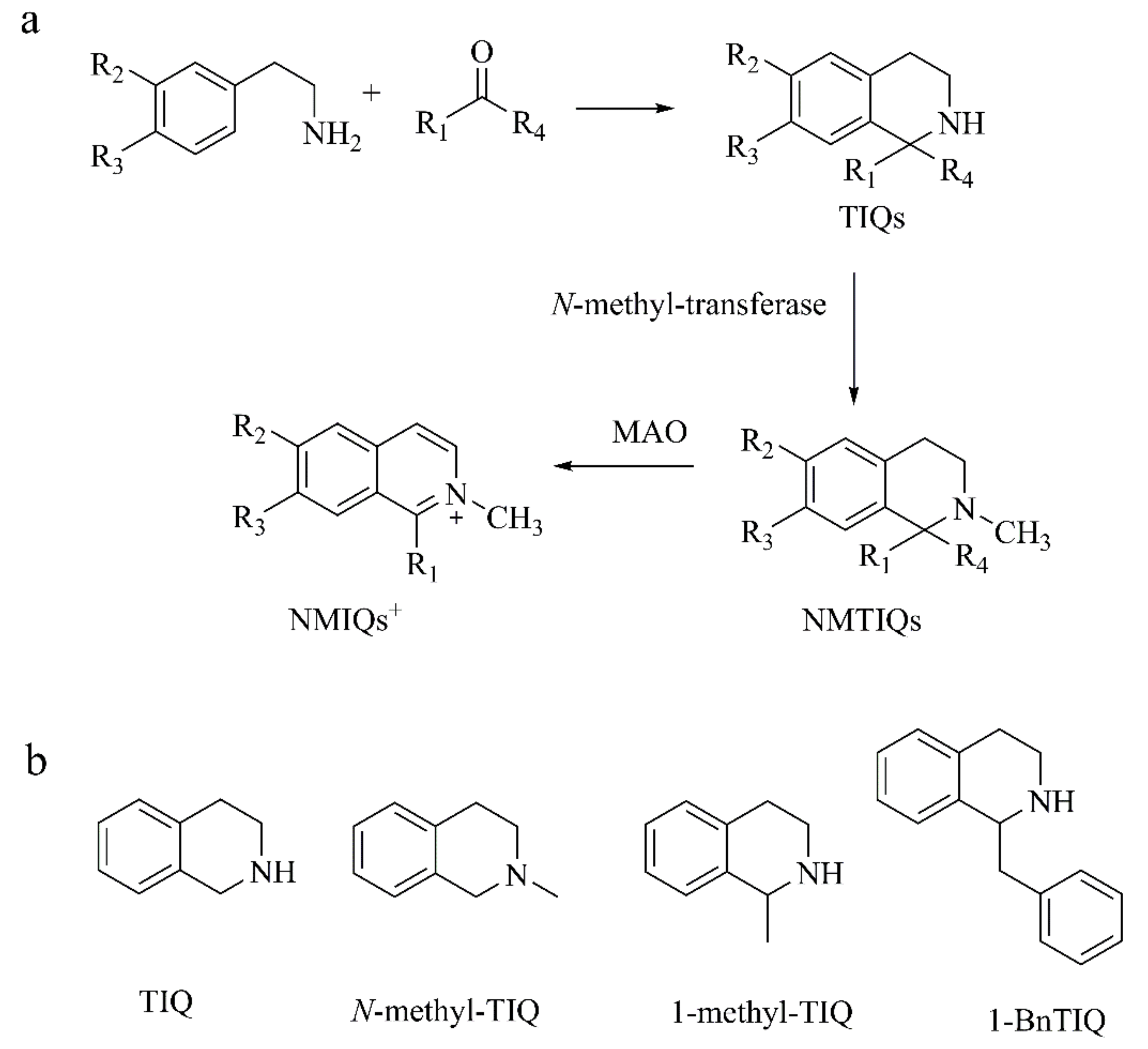 Ijms 22 12805 g002 Ijms 22 12805 g002