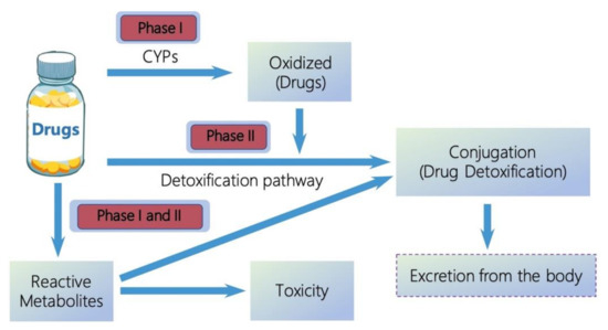 gabapentin cyp450 metabolism