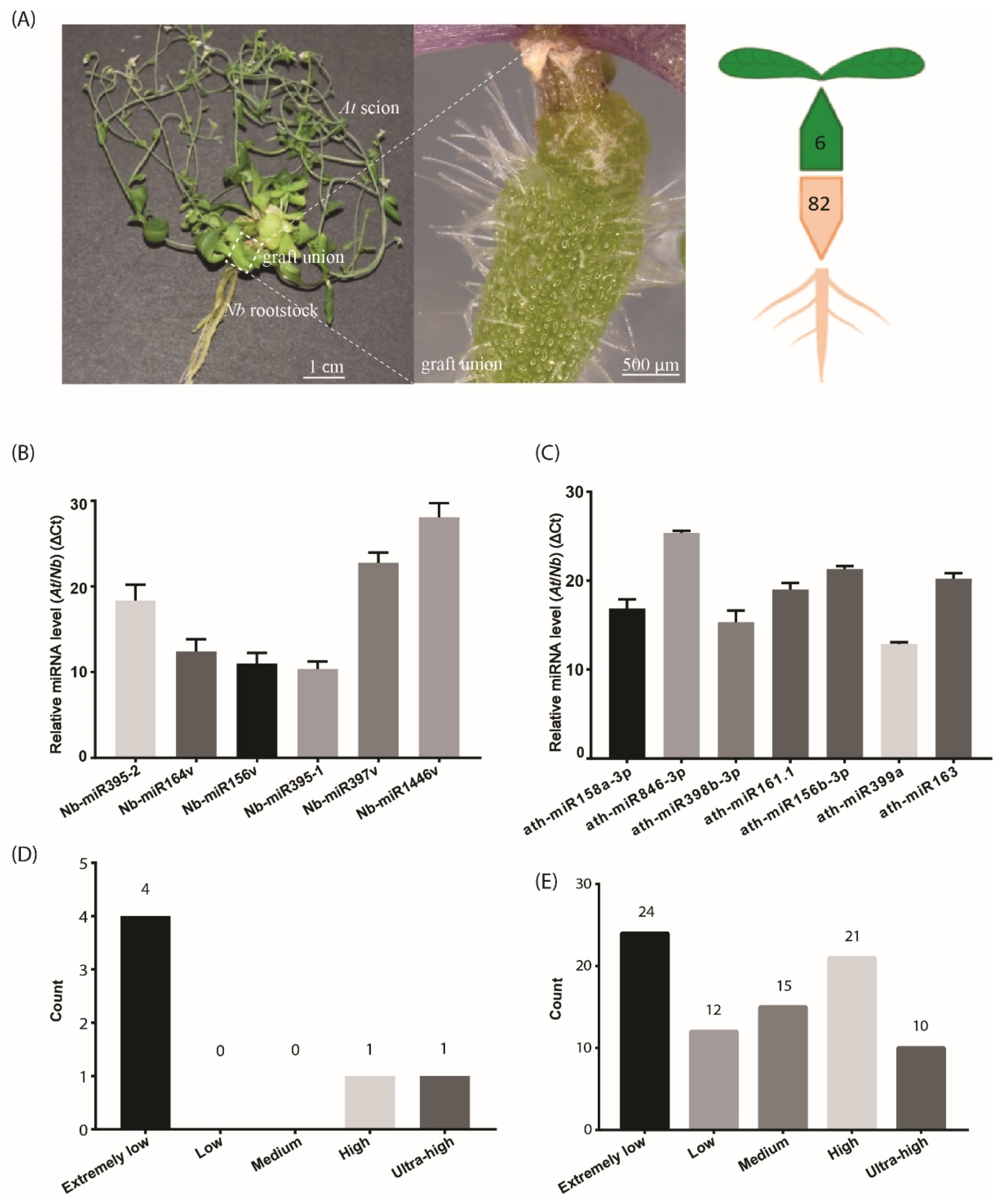 Ijms 22 12821 g001 550