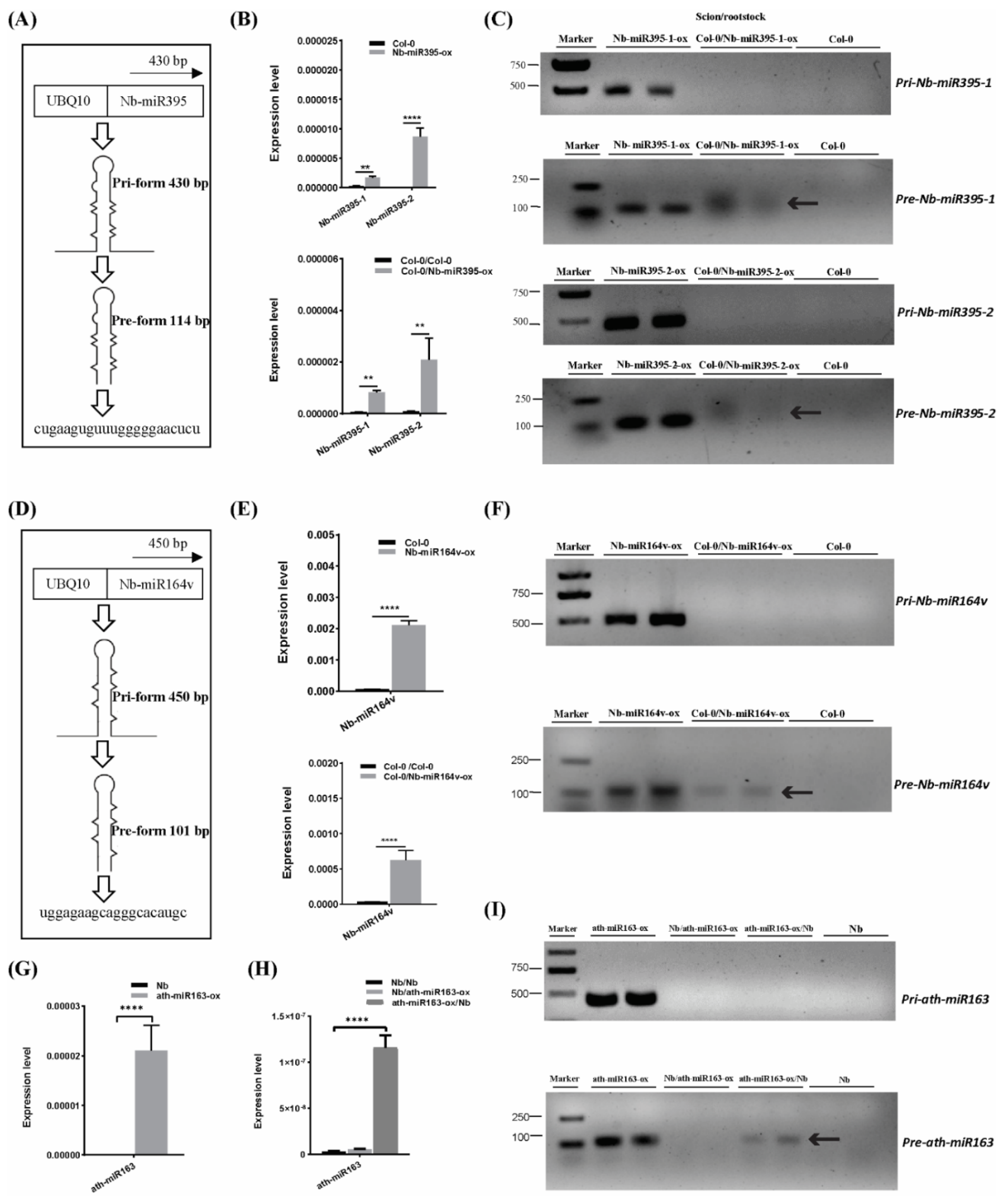 Ijms 22 12821 g002 550