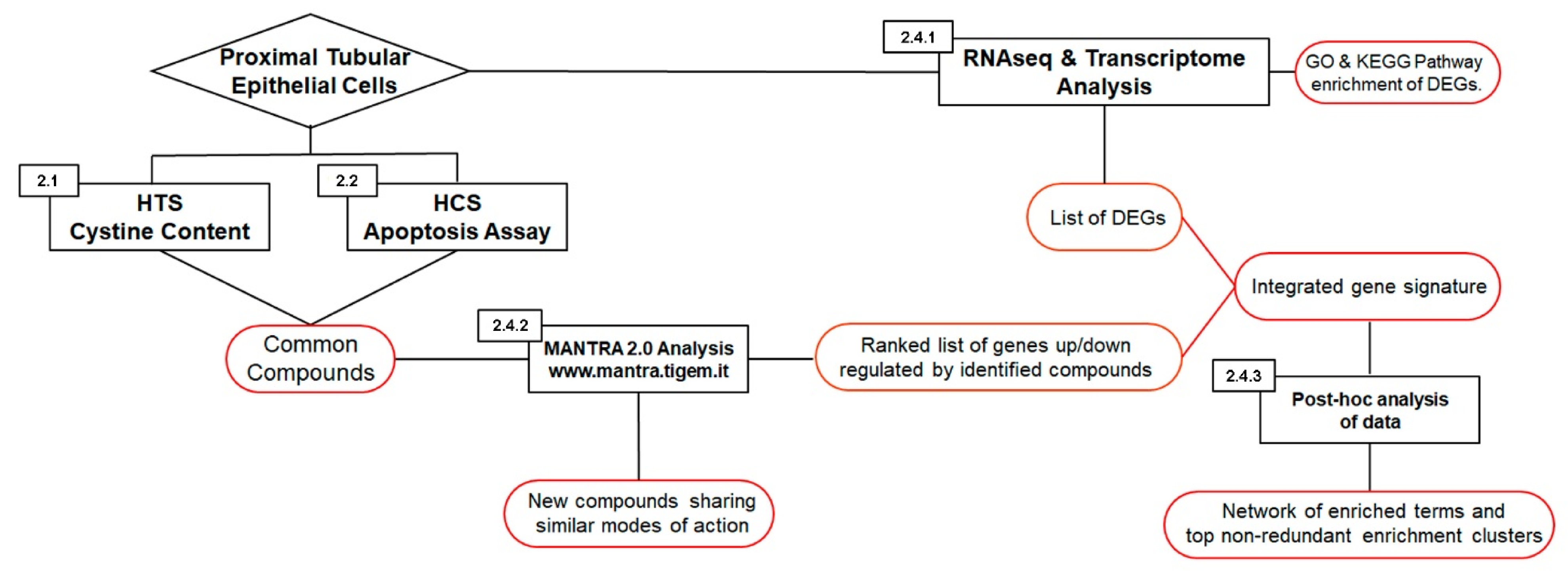 Ijms 22 12829 g001 550