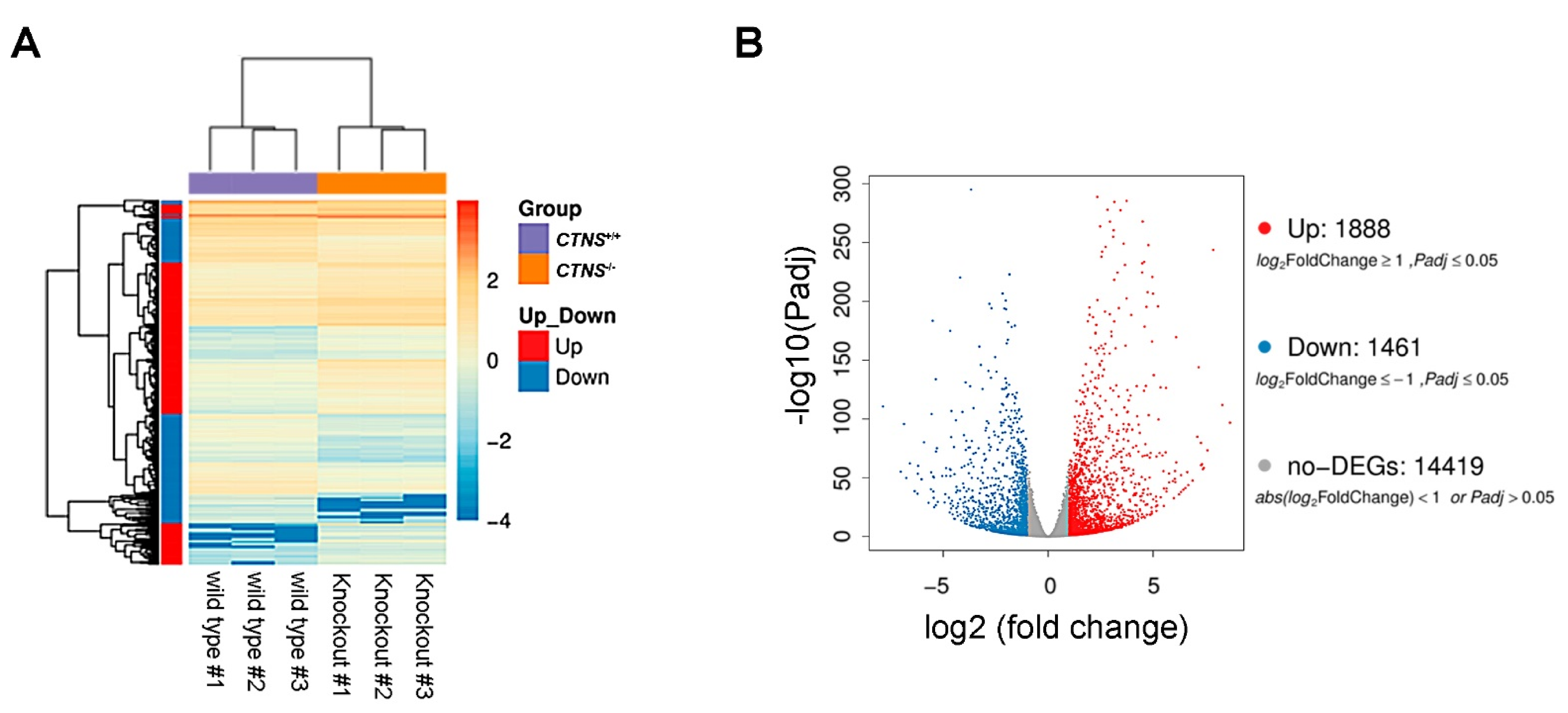 Ijms 22 12829 g003 550