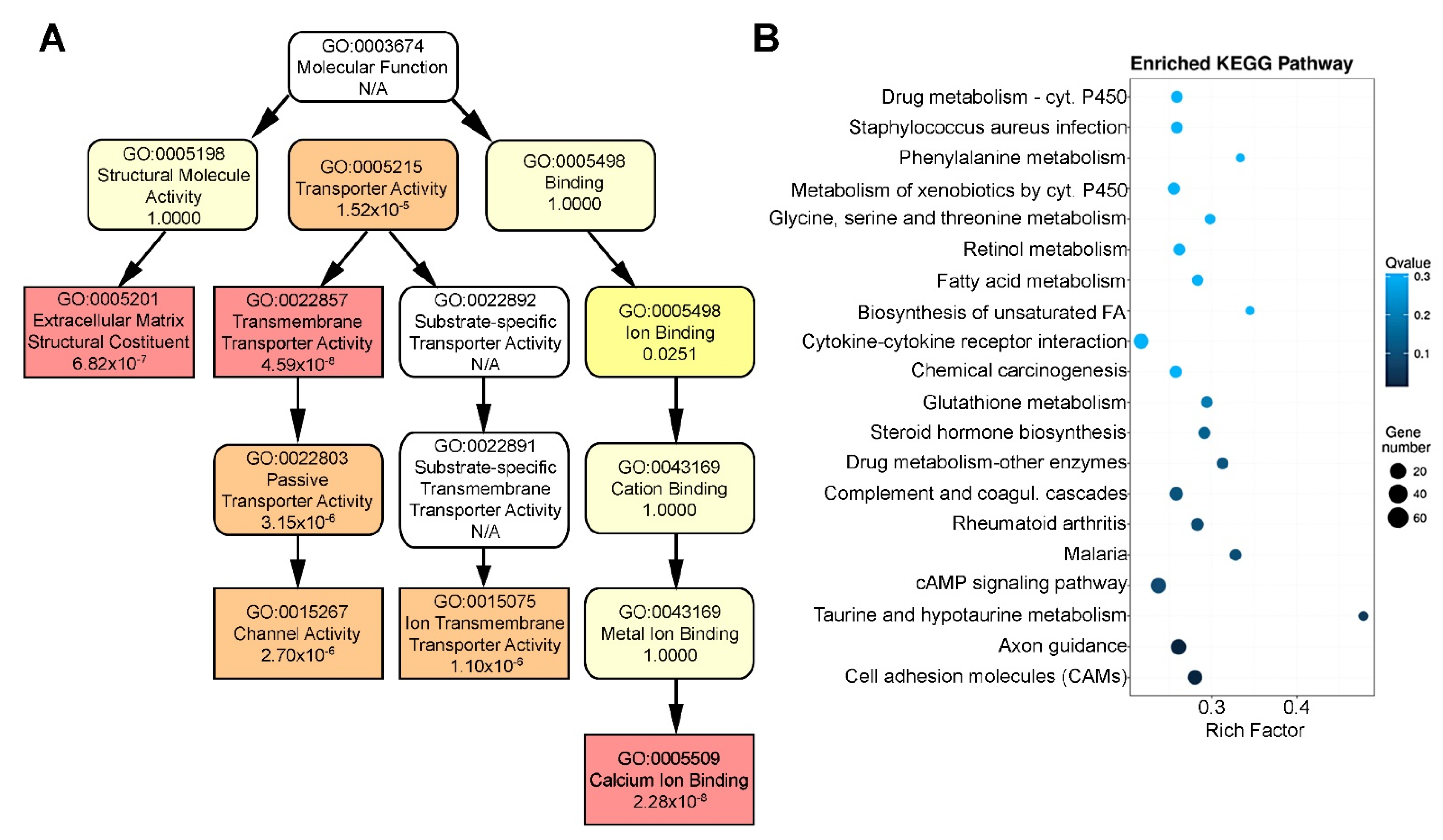 Ijms 22 12829 g004 550
