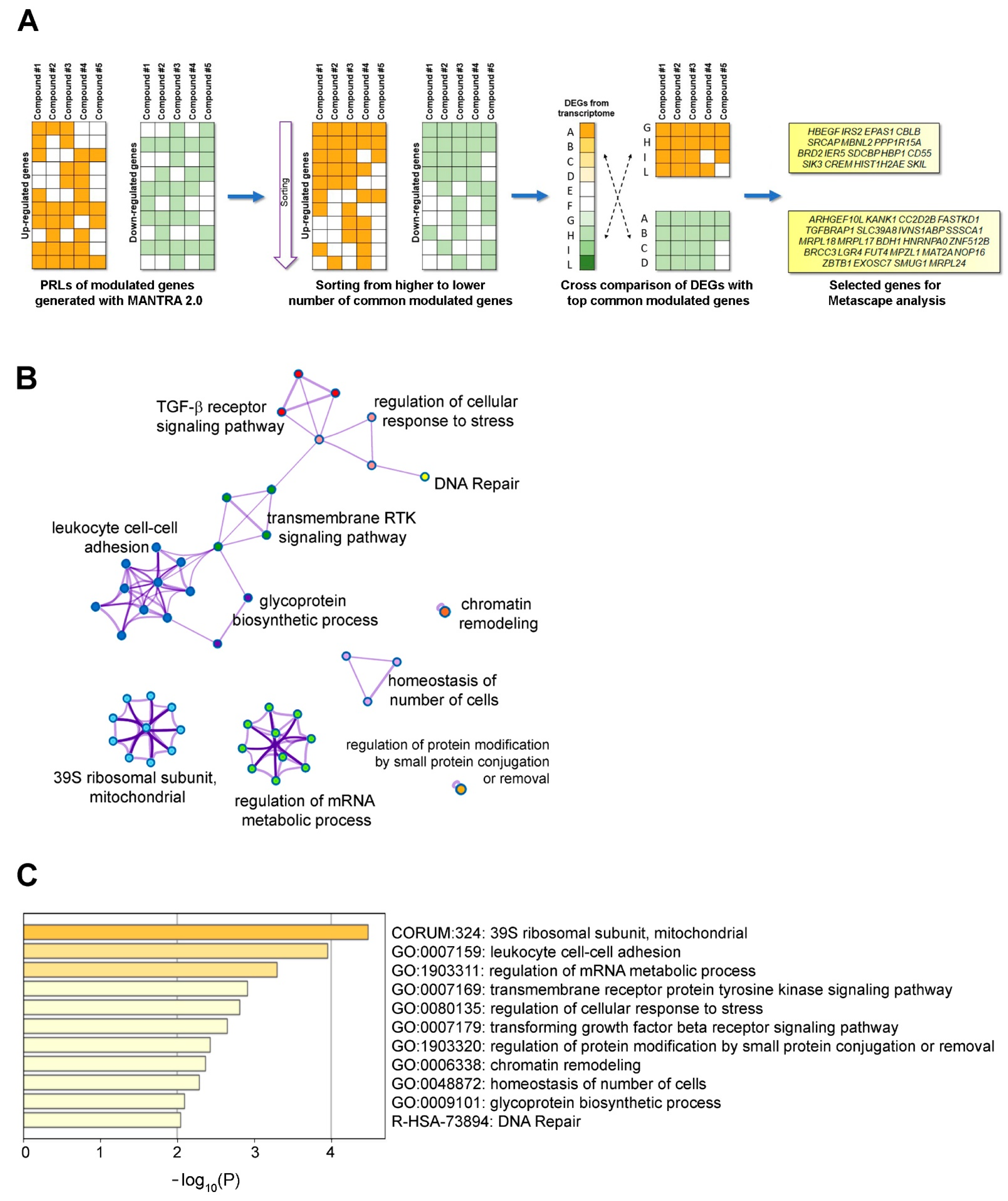 Ijms 22 12829 g005 550