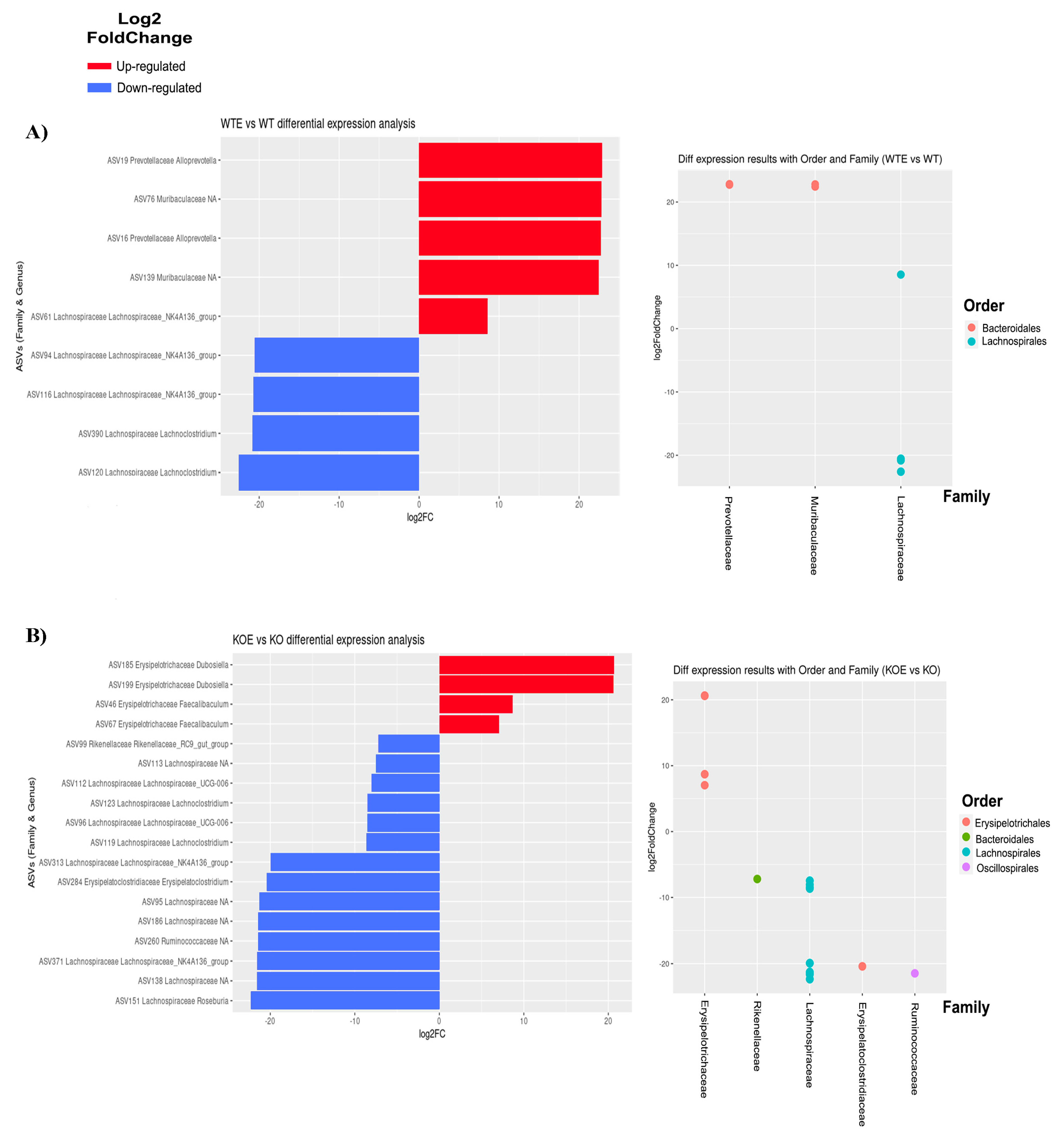 Ijms 22 12830 g006a 550