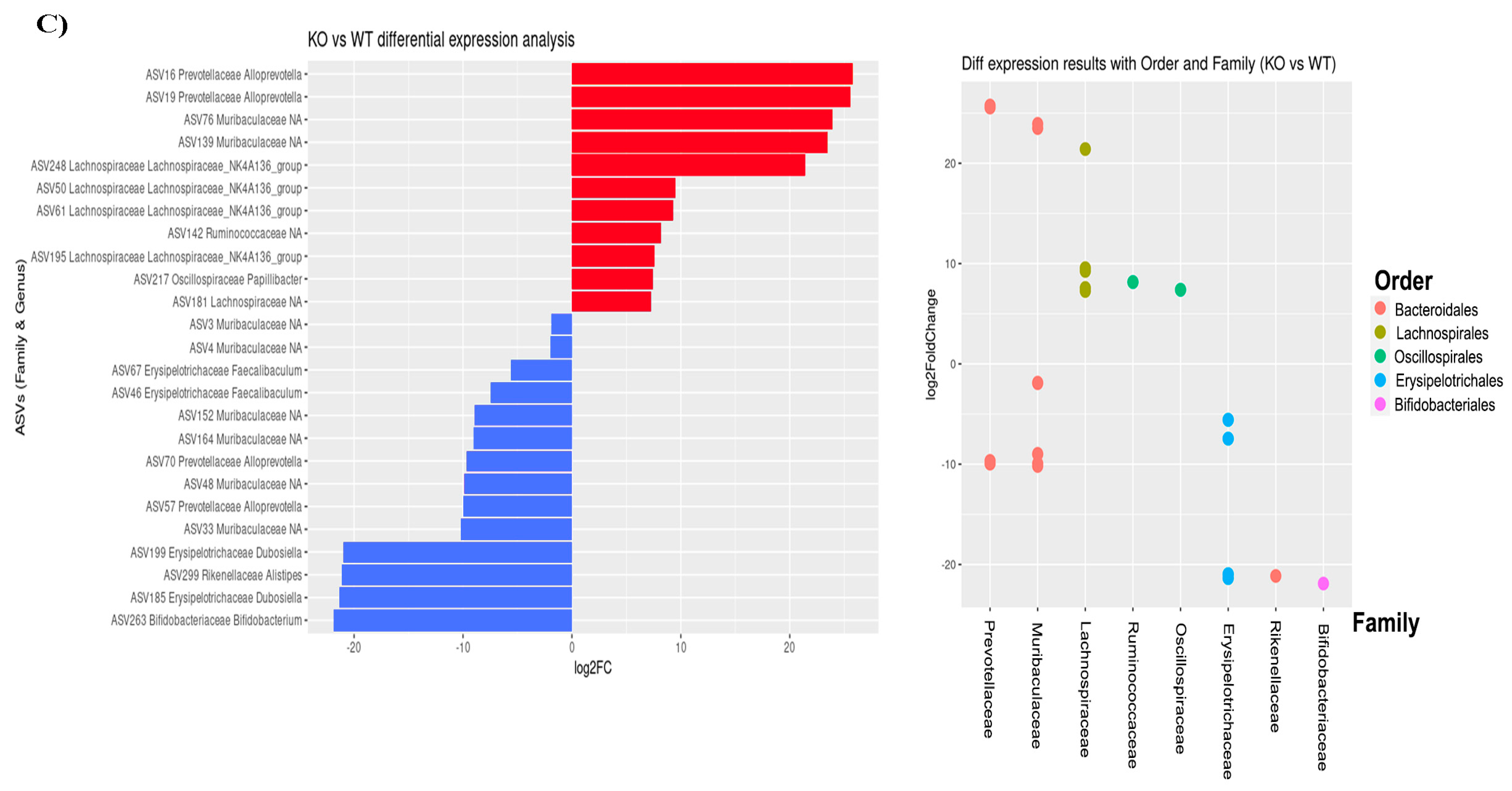 Ijms 22 12830 g006b 550