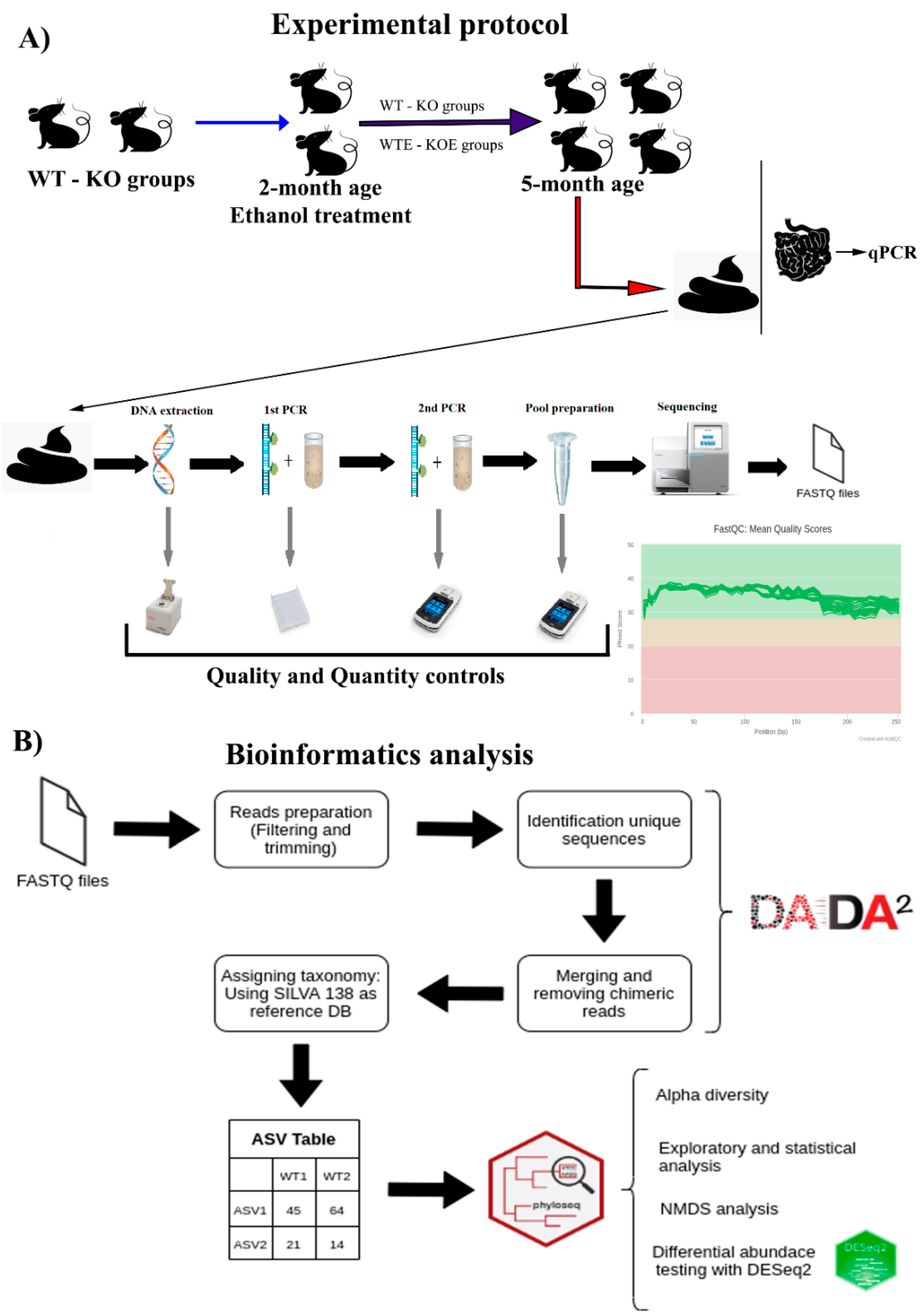 Ijms 22 12830 g008 550