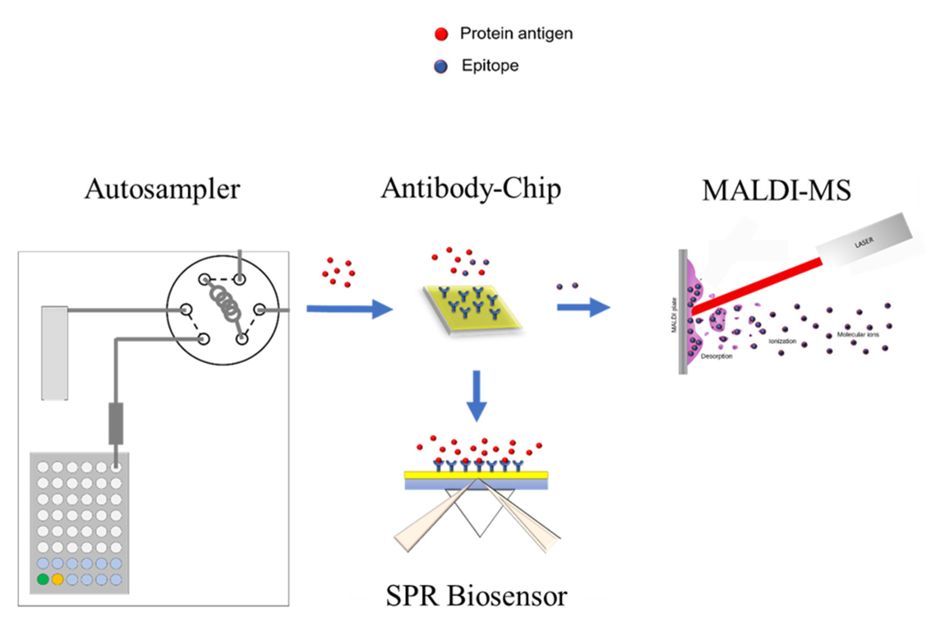 Ijms 22 12832 g001 Ijms 22 12832 g001