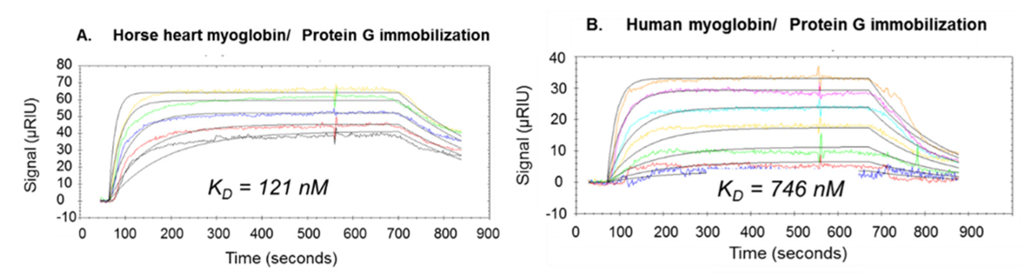 Ijms 22 12832 g002 Ijms 22 12832 g002