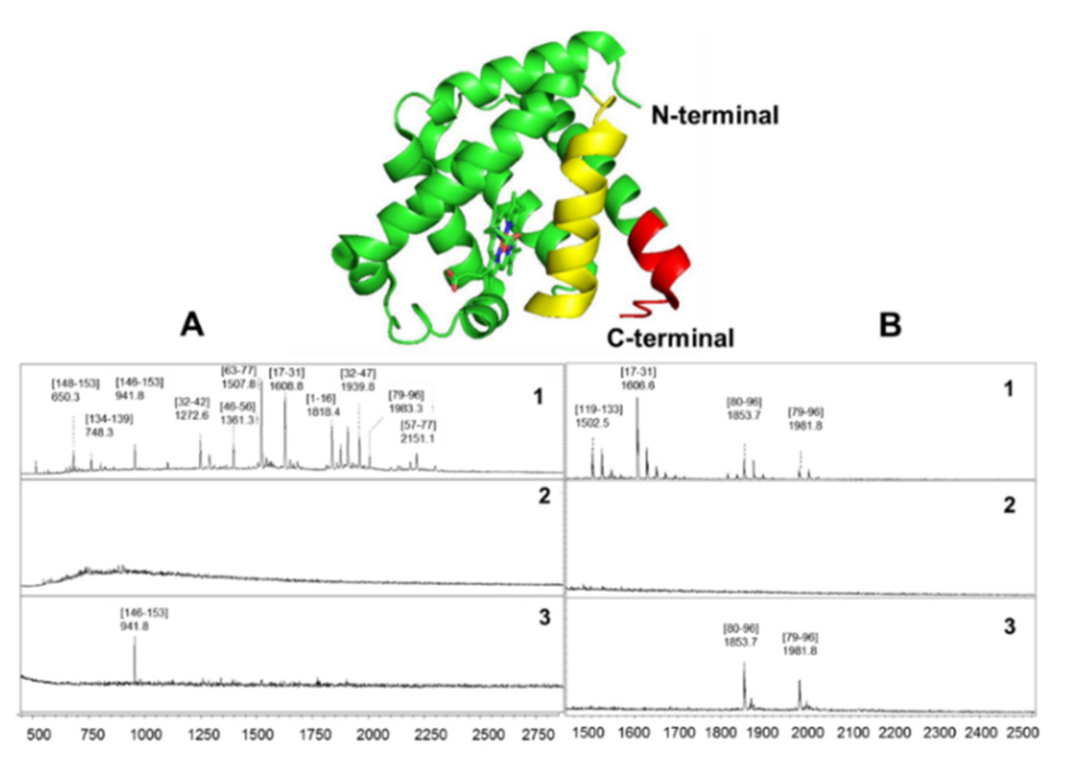 Ijms 22 12832 g003 Ijms 22 12832 g003