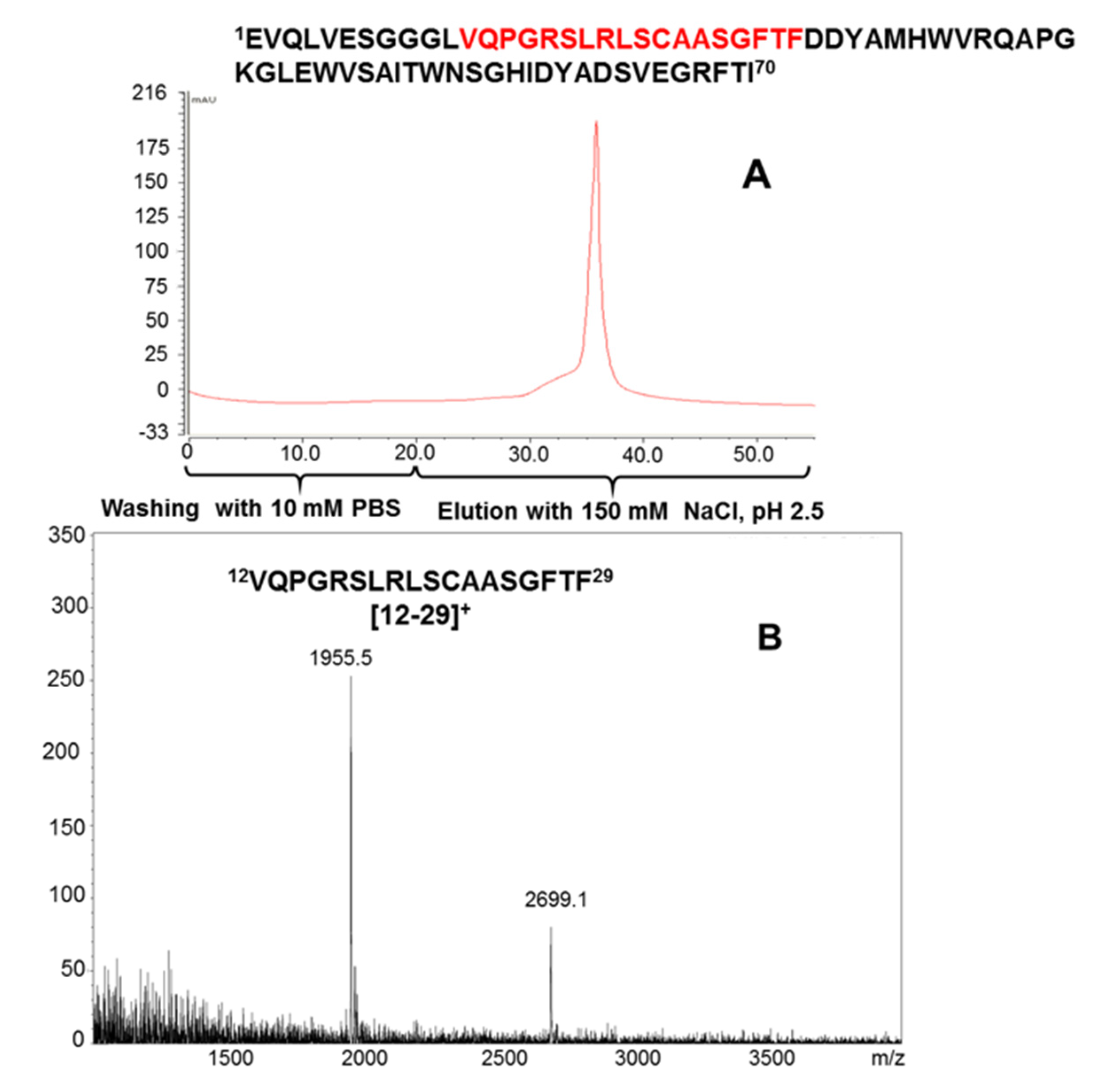 Ijms 22 12832 g004 Ijms 22 12832 g004