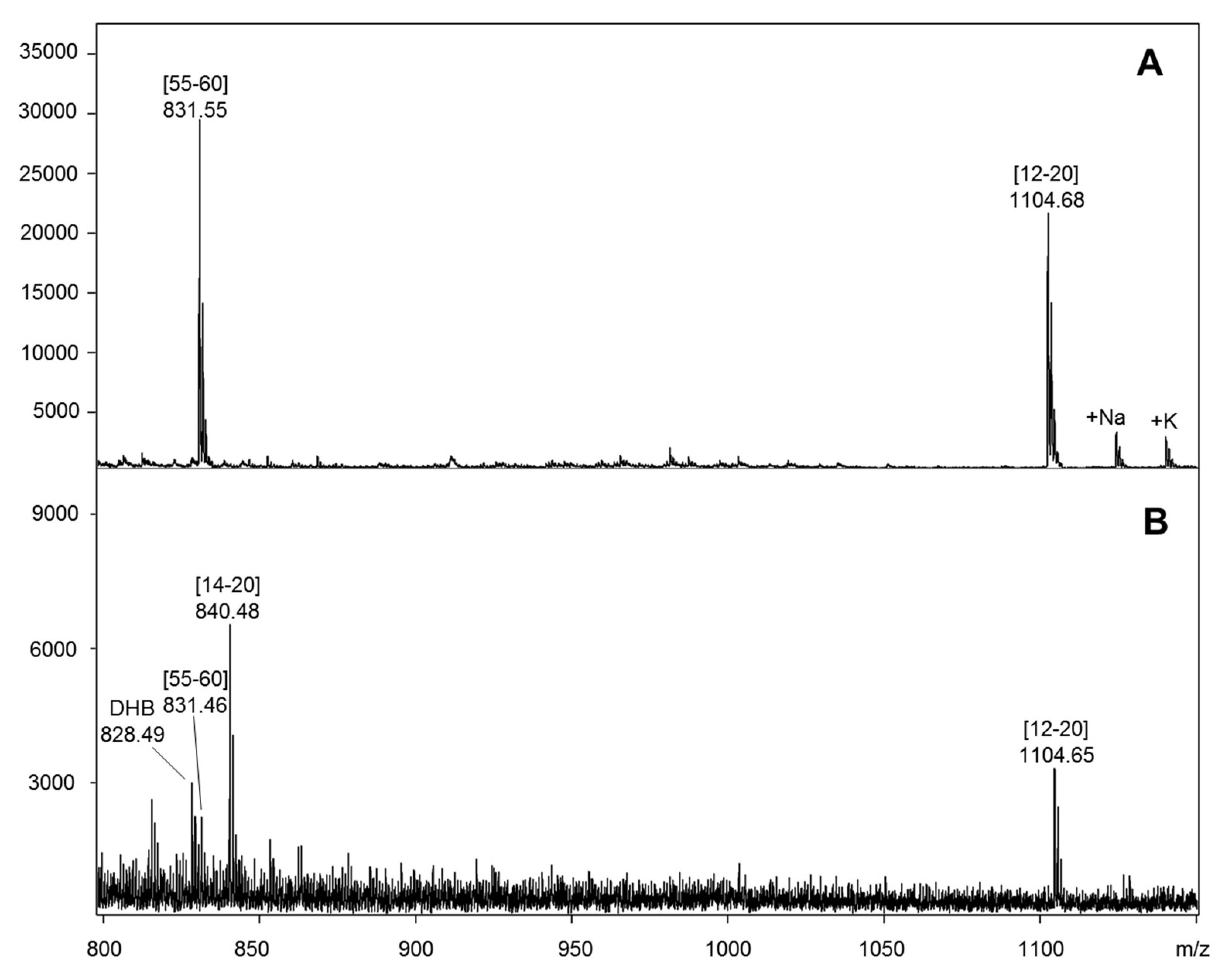 Ijms 22 12832 g005 Ijms 22 12832 g005