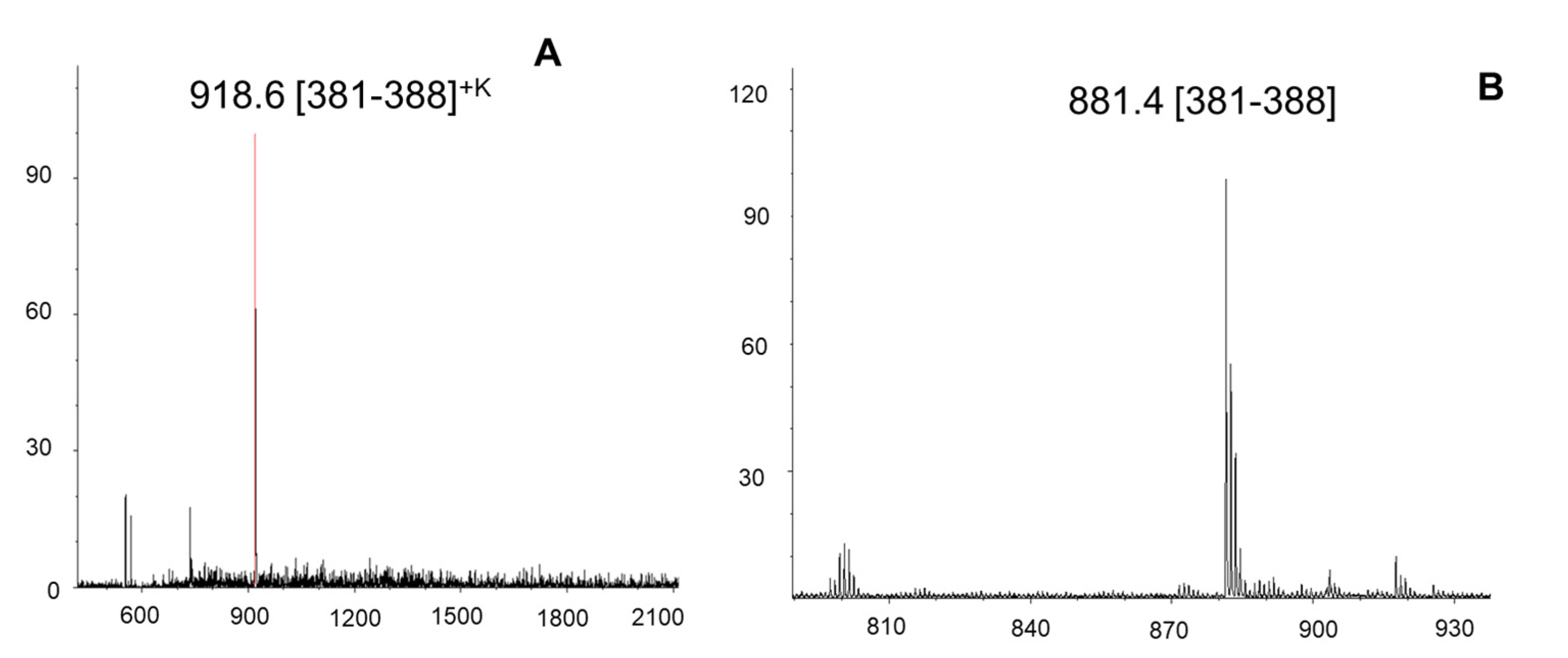 Ijms 22 12832 g007 Ijms 22 12832 g007