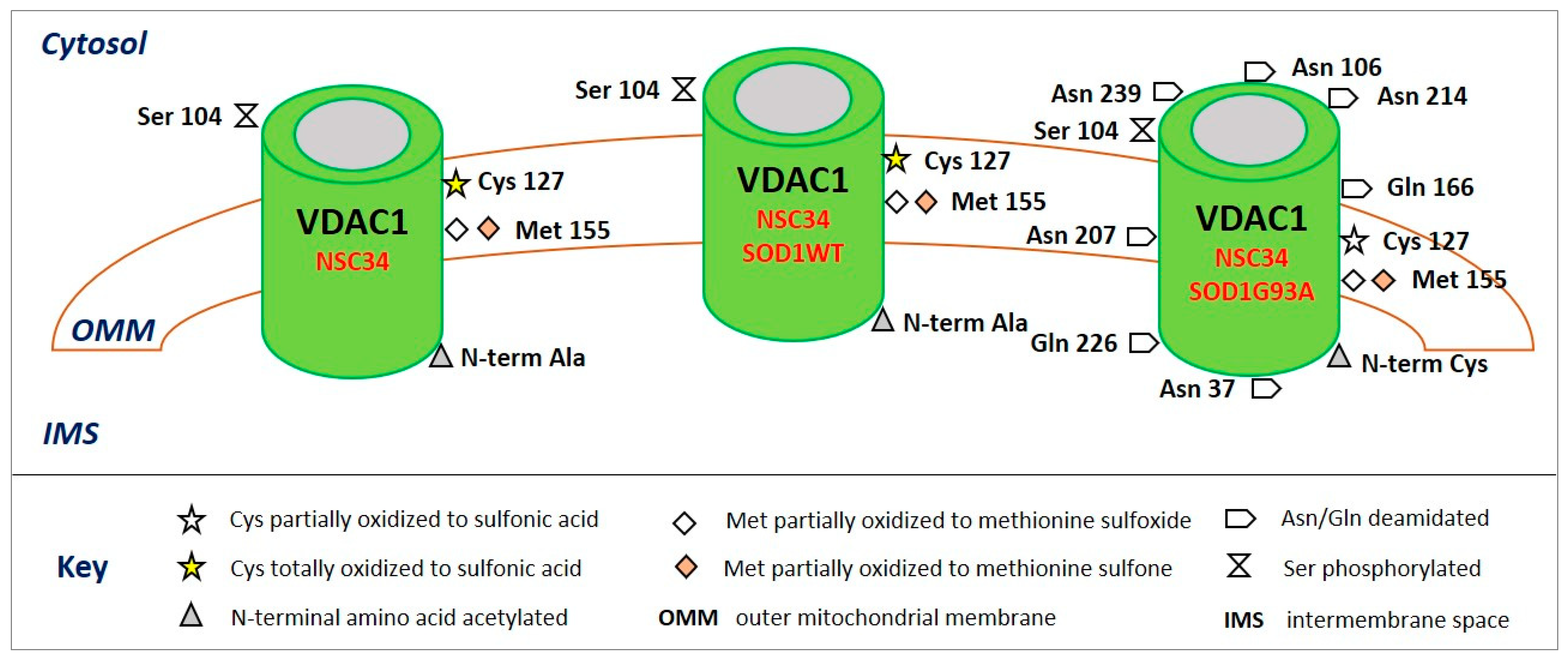 Ijms 22 12833 g002 550