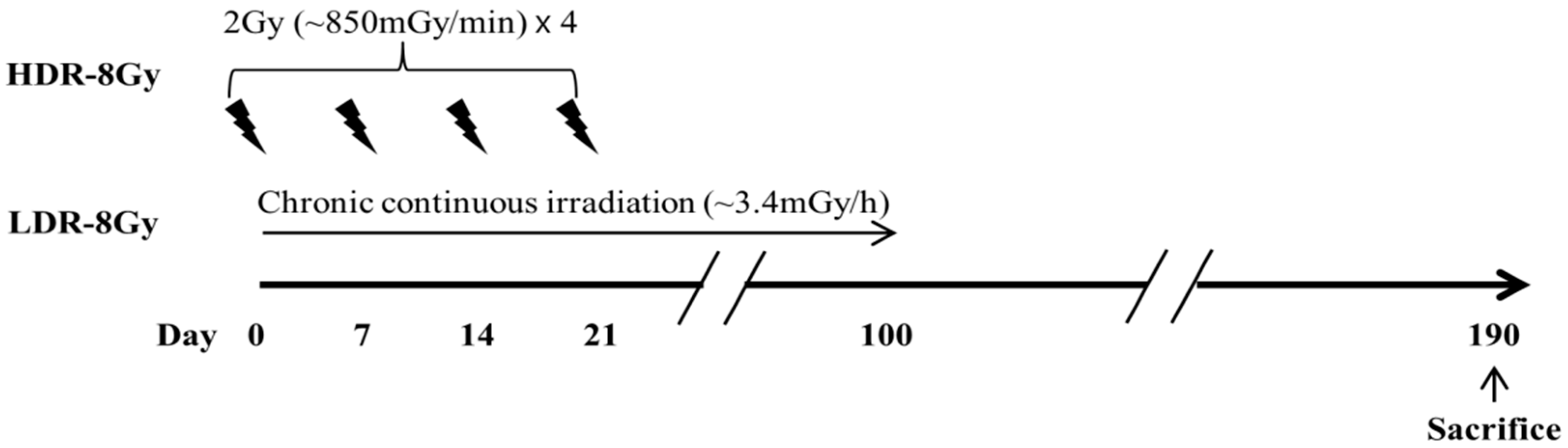 Ijms 22 12834 g001 550
