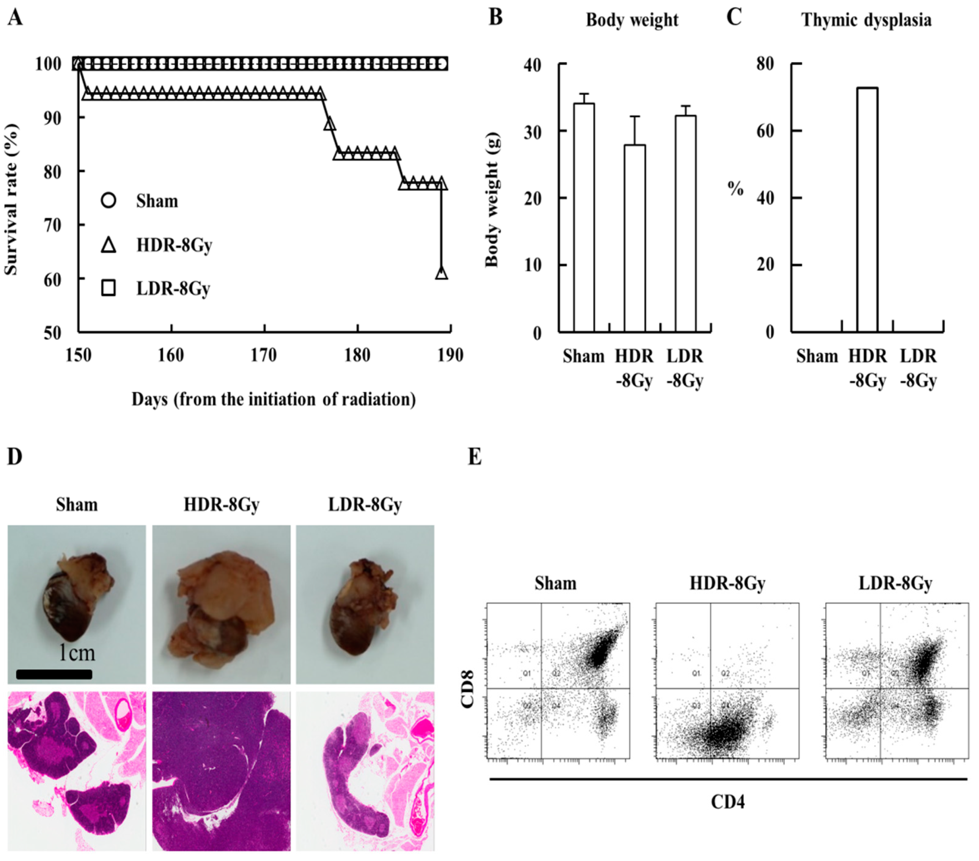 Ijms 22 12834 g002 550