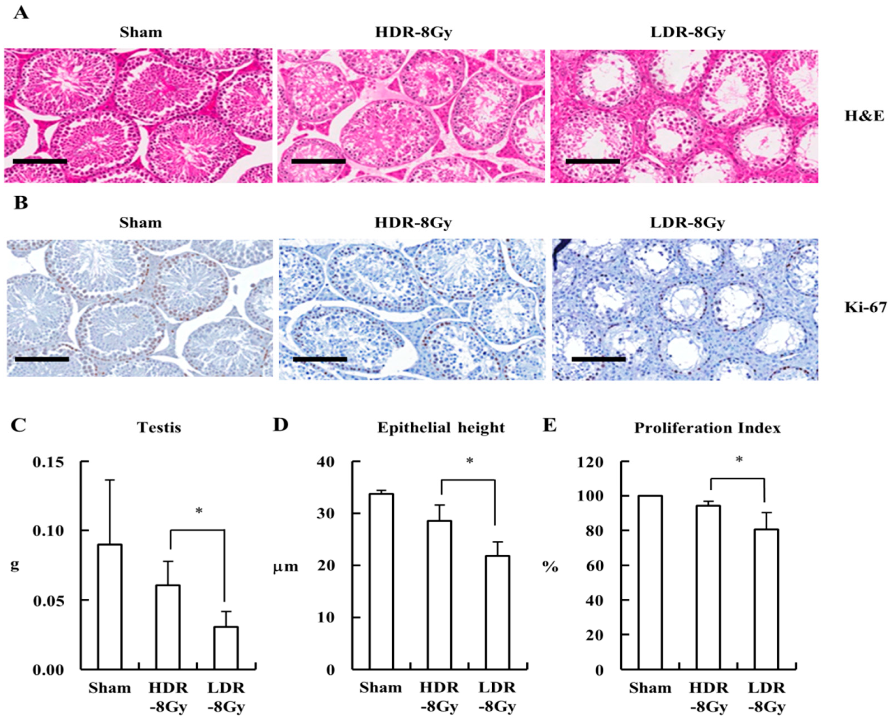 Ijms 22 12834 g003 550