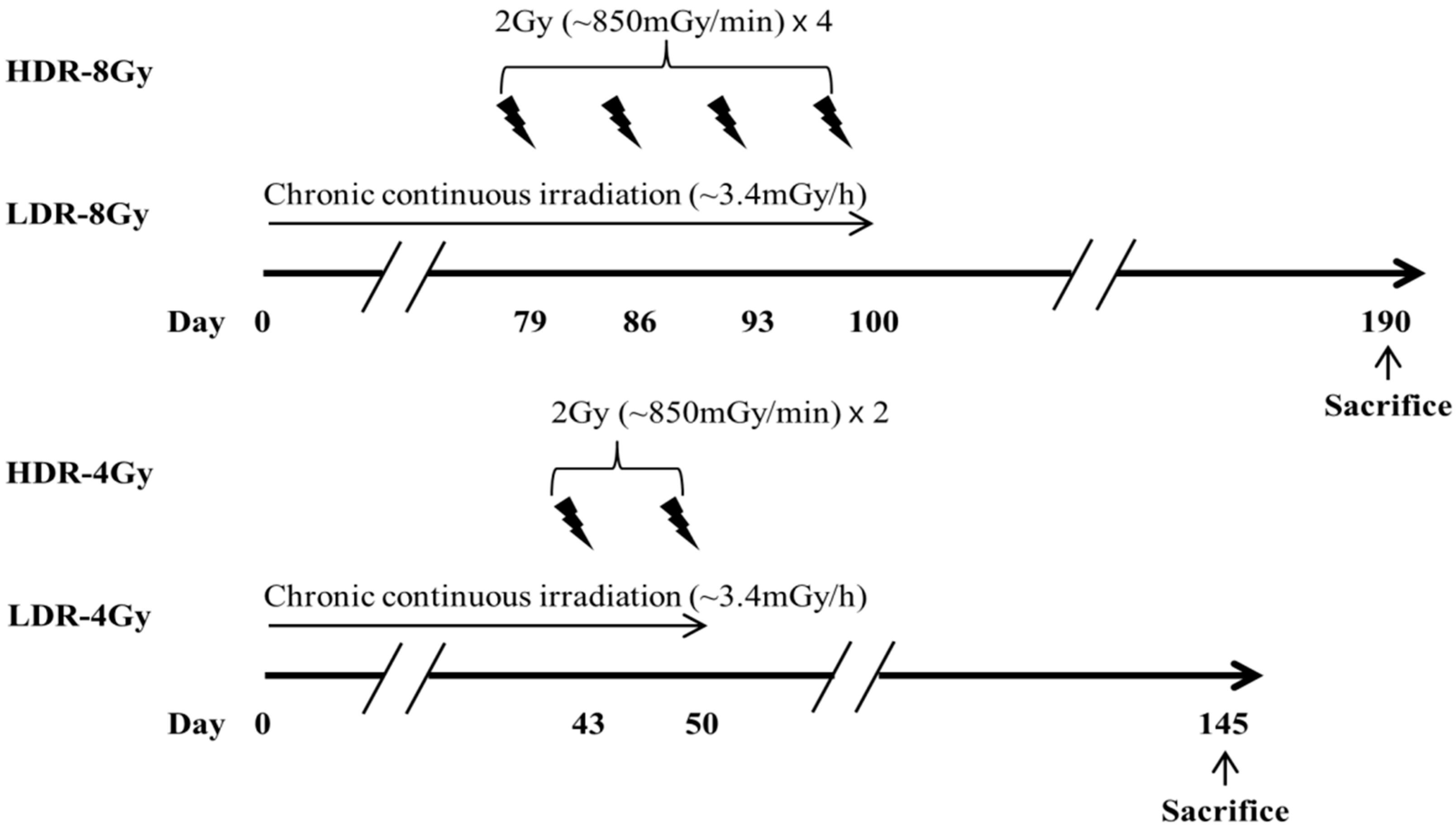 Ijms 22 12834 g004 550