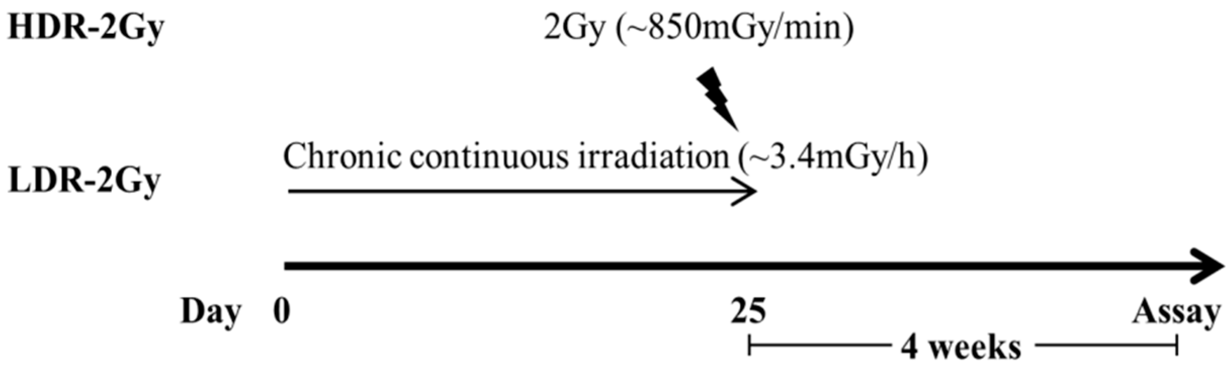 Ijms 22 12834 g006 550