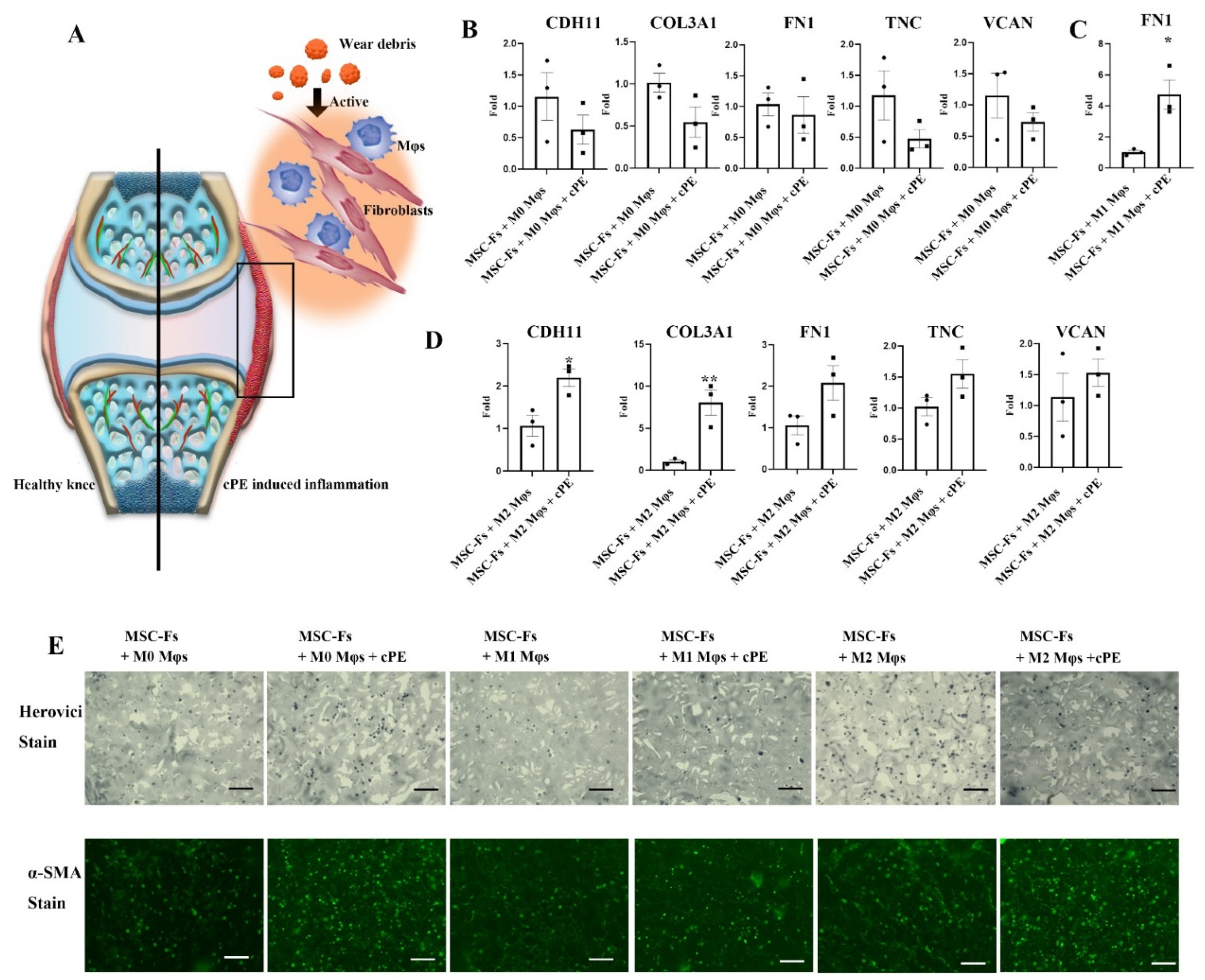 Ijms 22 12837 g002 550