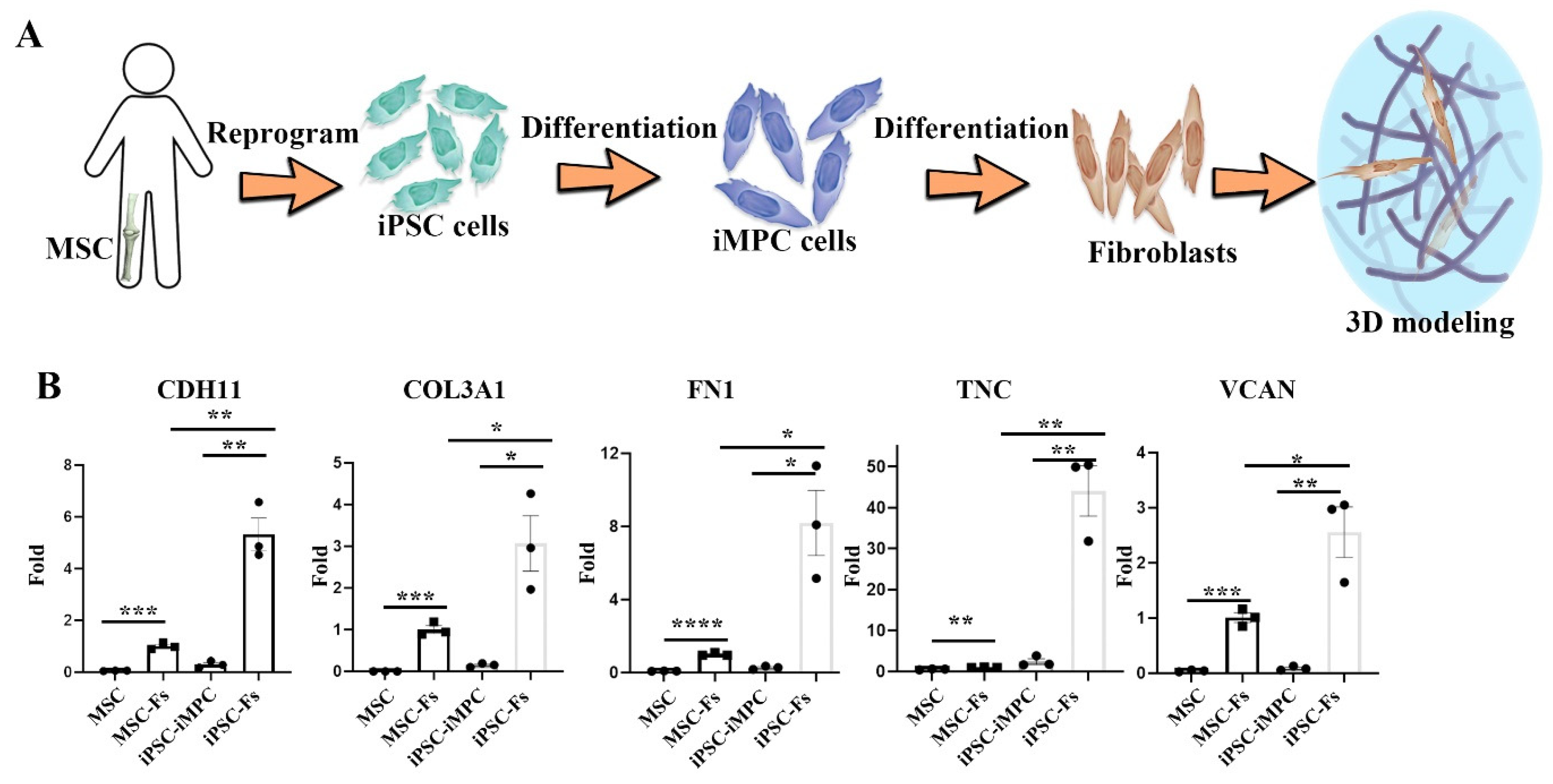 Ijms 22 12837 g004 550