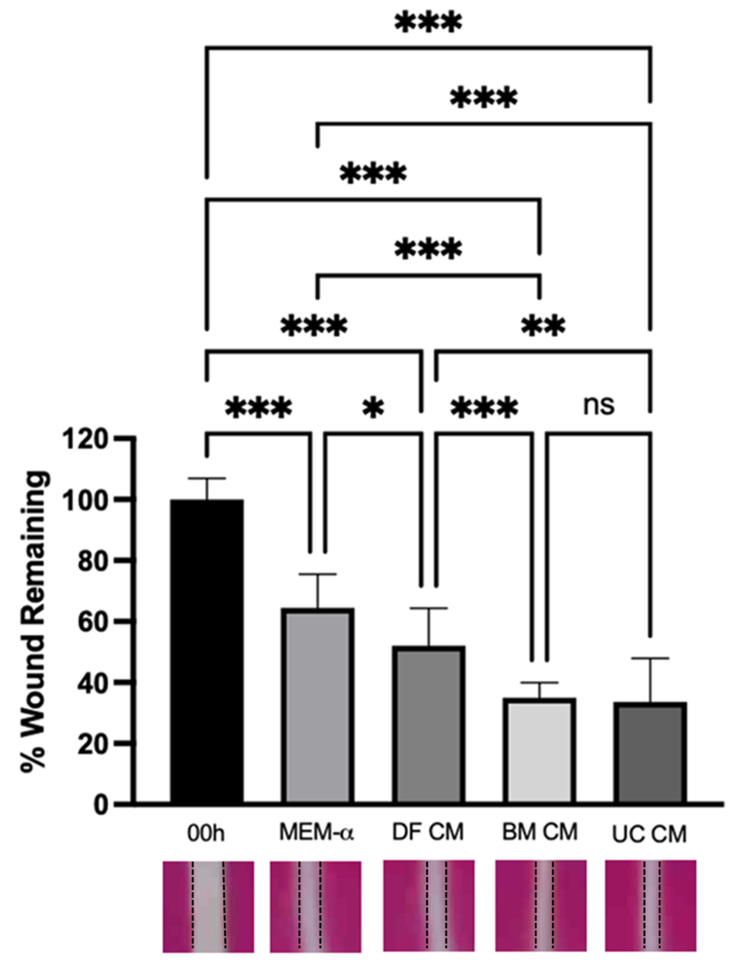 Ijms 22 12842 g002 550