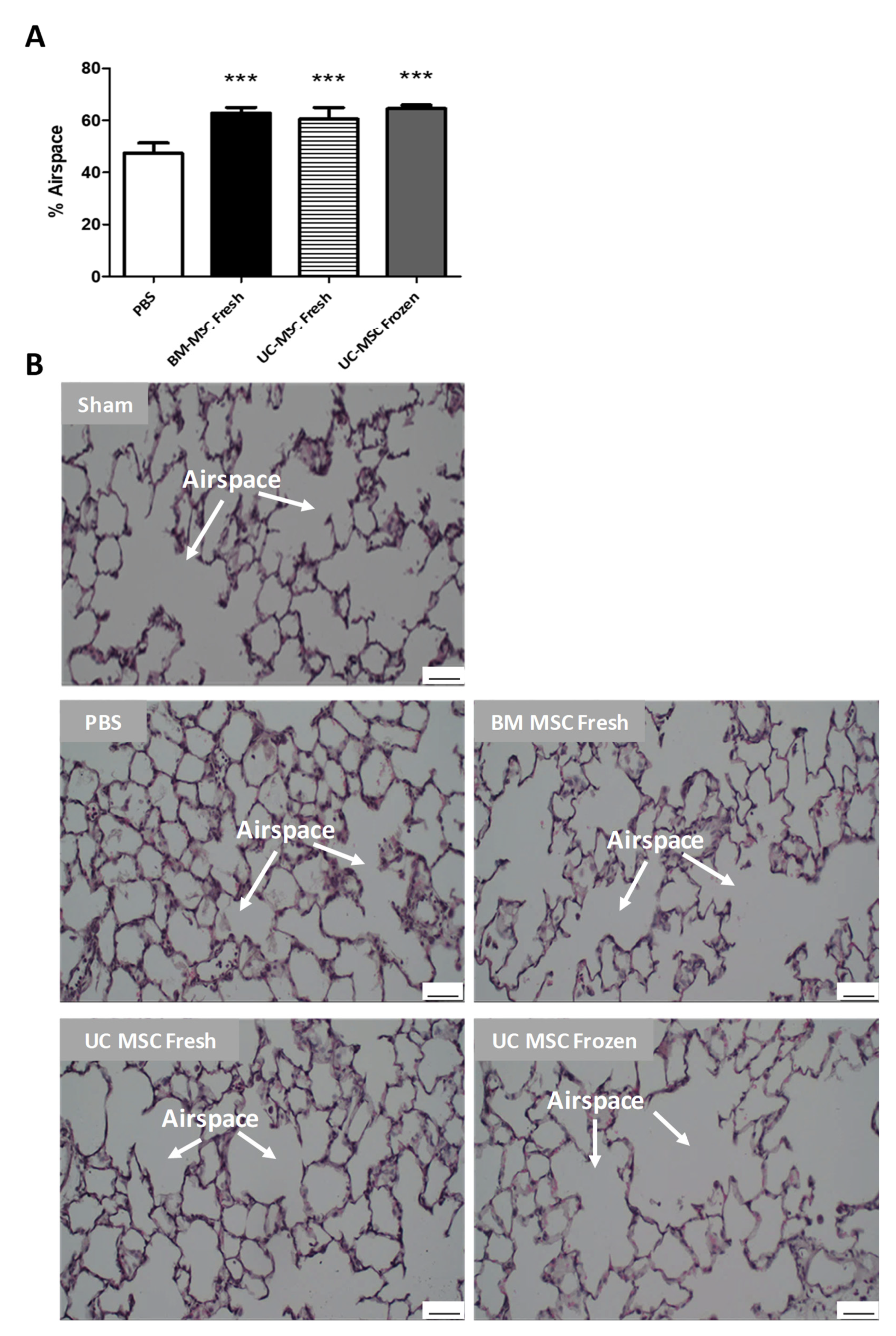 Ijms 22 12842 g005 550