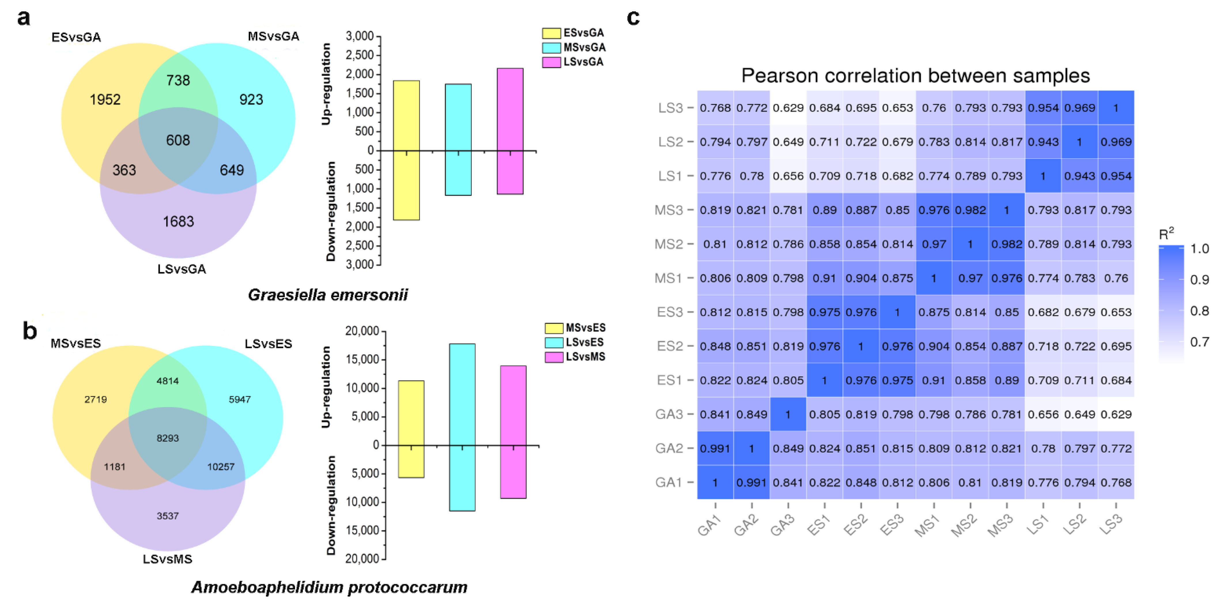 Ijms 22 12847 g002 550