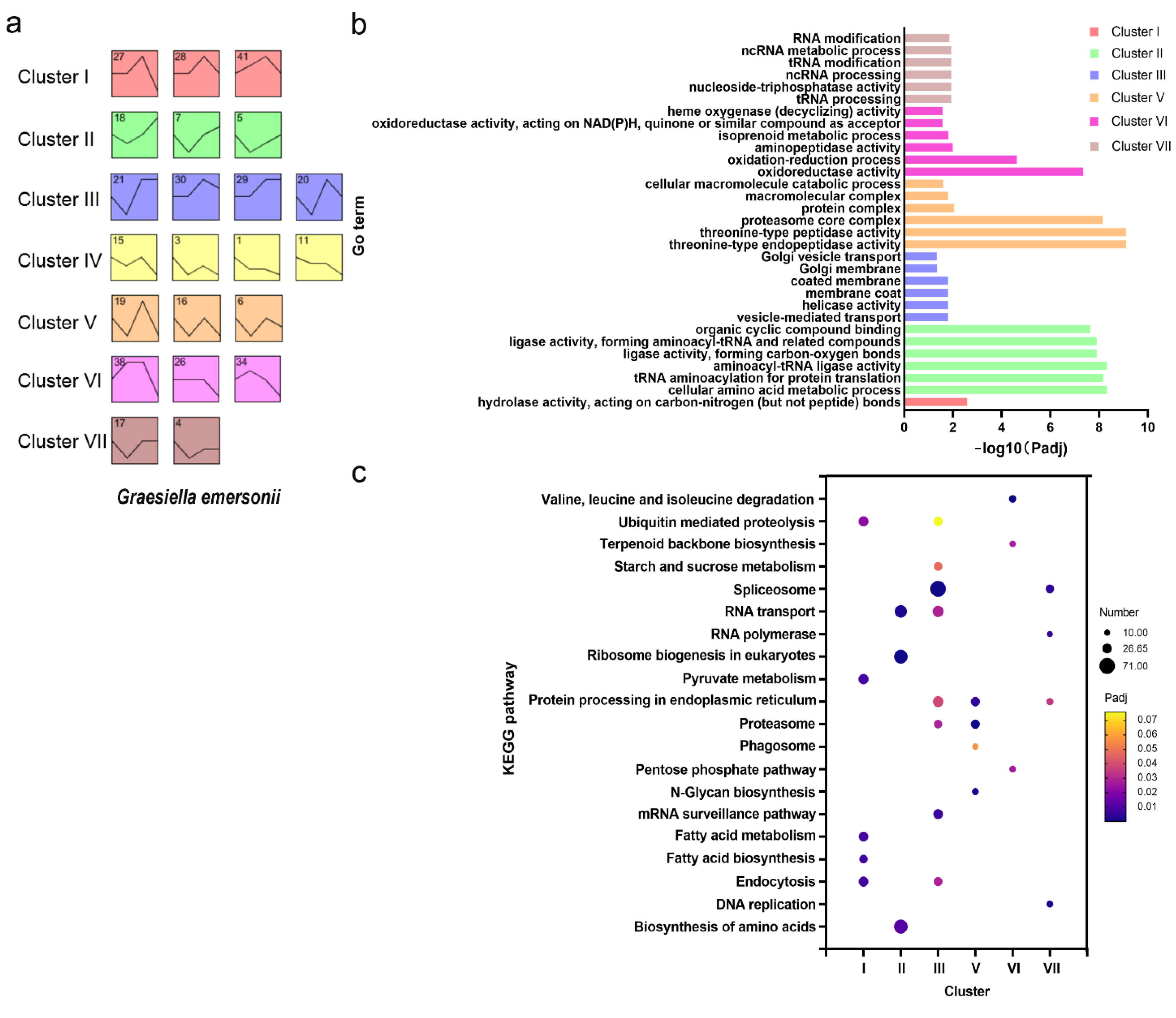 Ijms 22 12847 g003 550