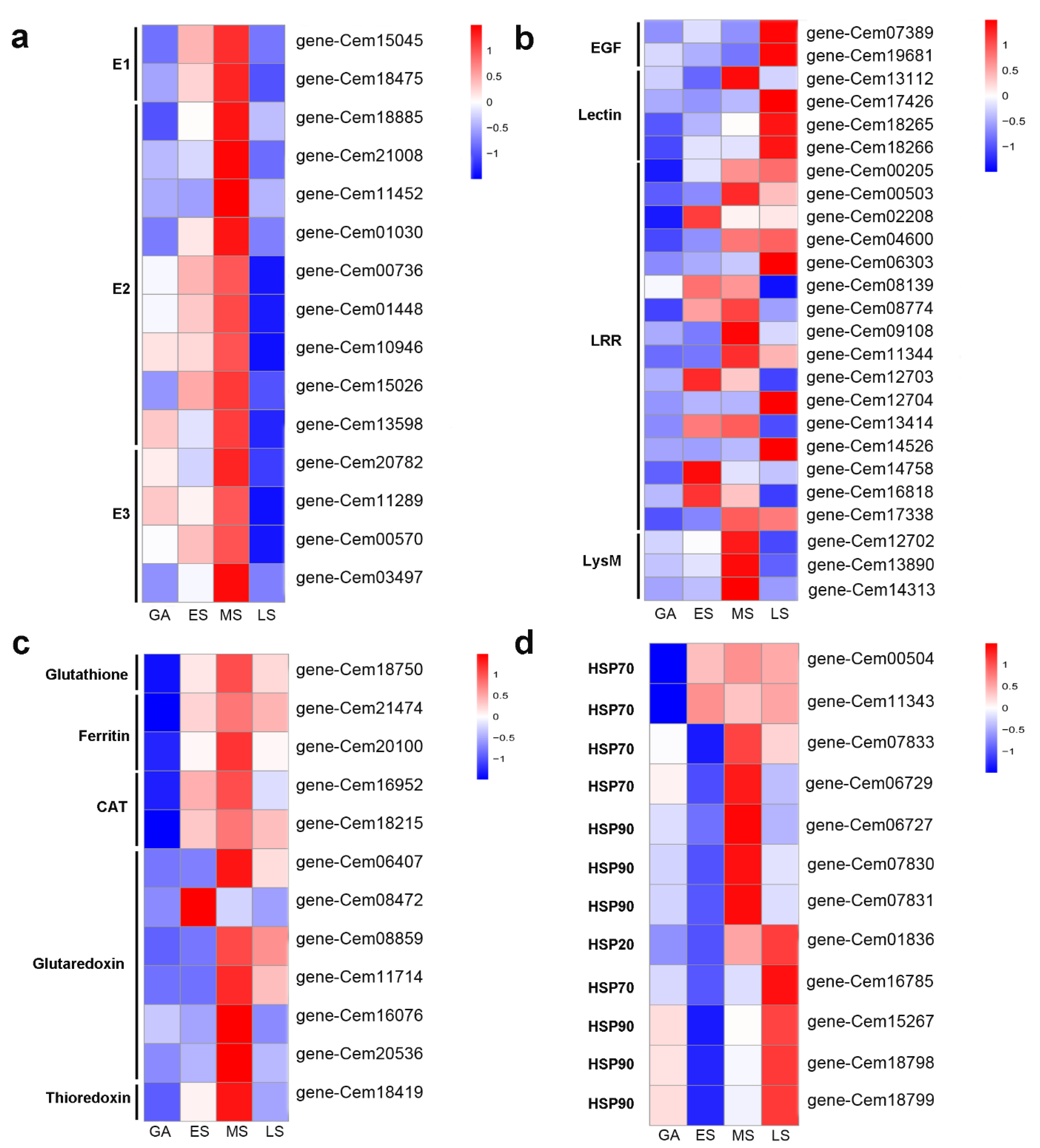 Ijms 22 12847 g004 550