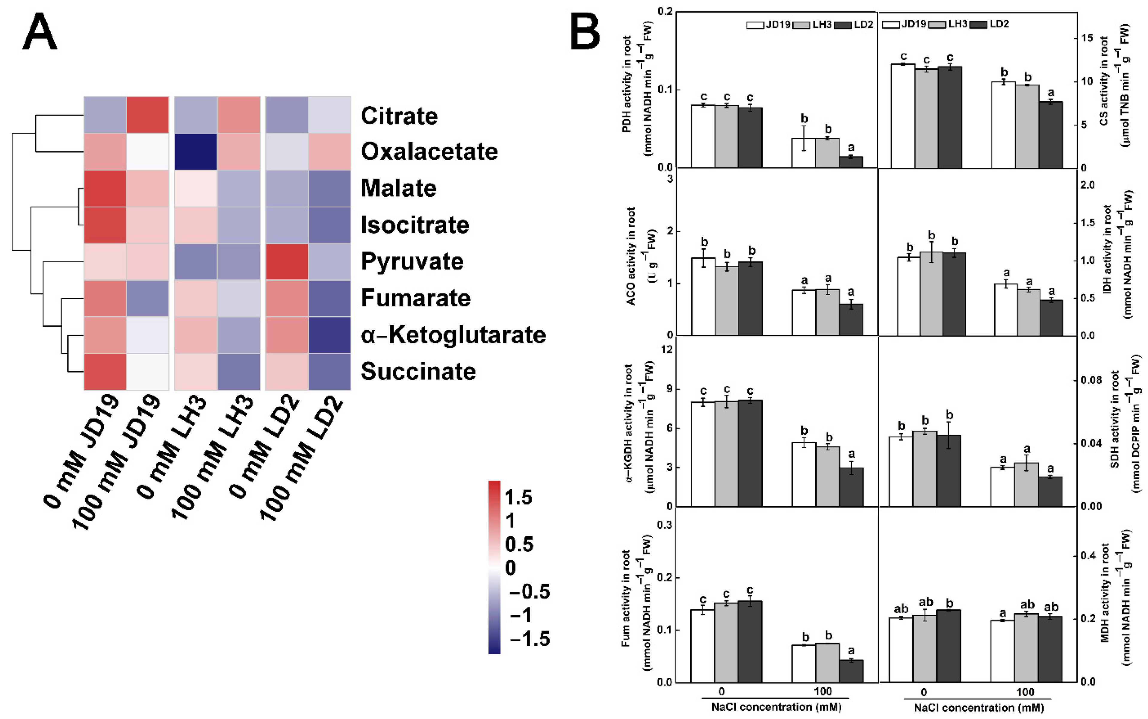 Ijms 22 12848 g009 550