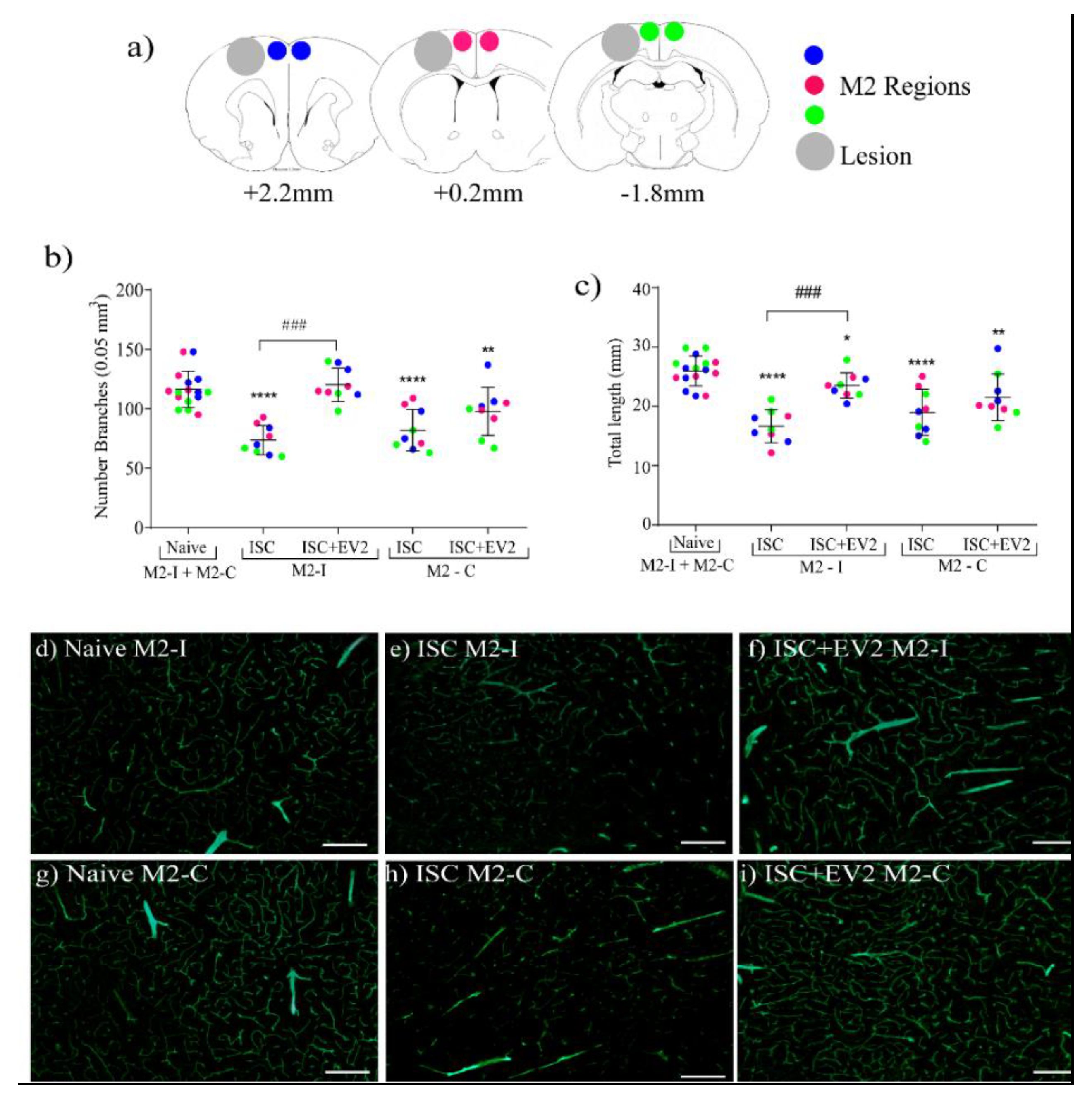Ijms 22 12860 g009 550