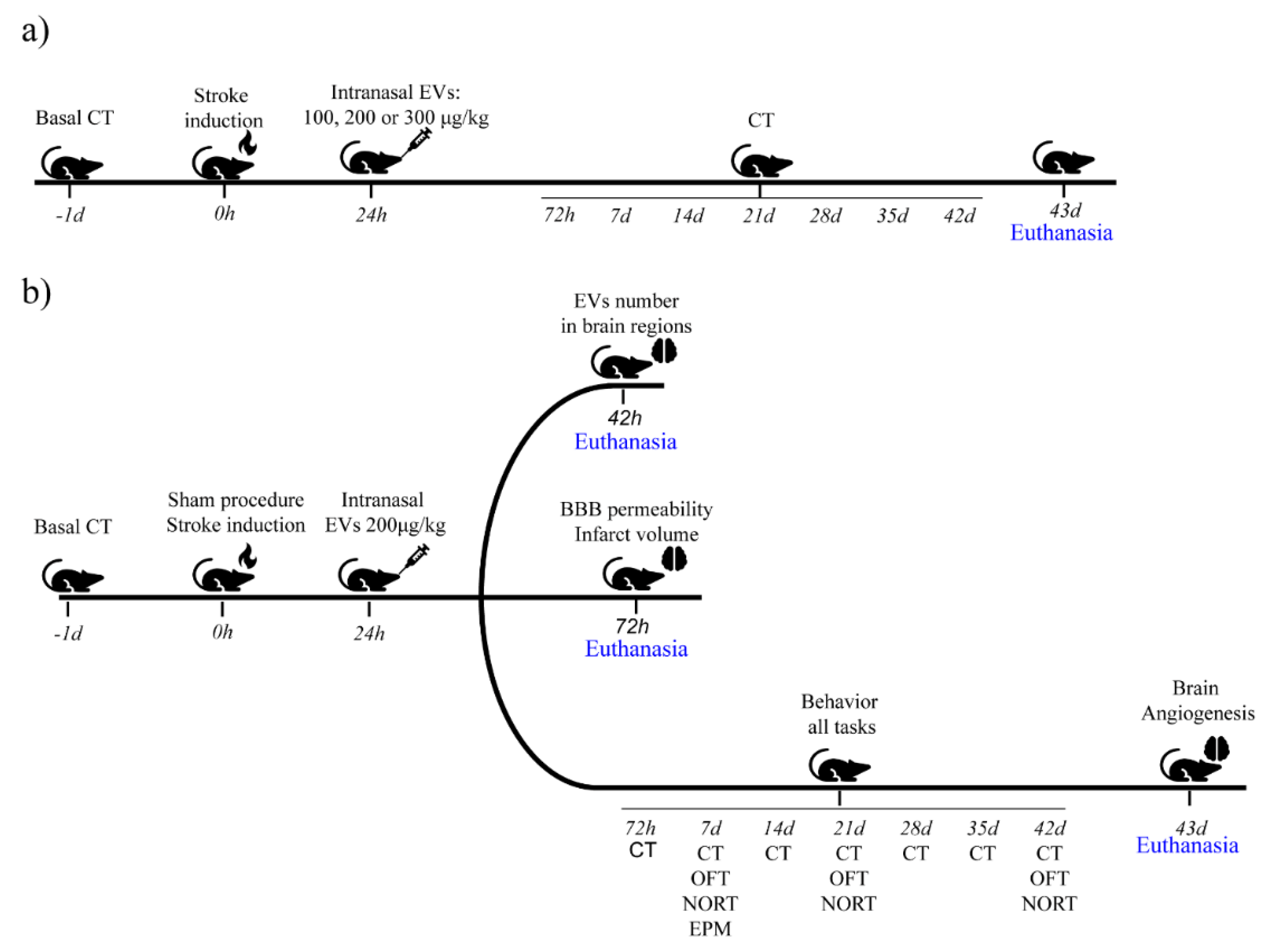 Ijms 22 12860 g010 550