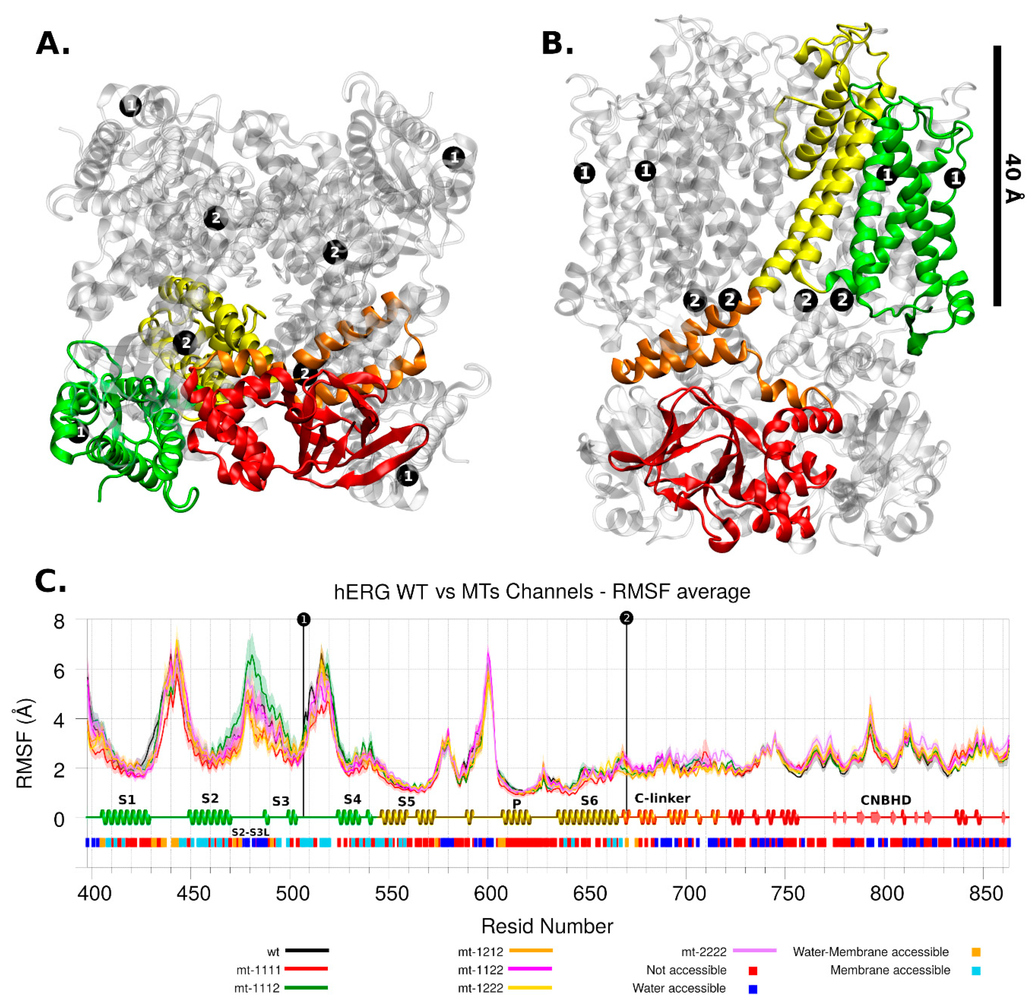 Ijms 22 12861 g004 550
