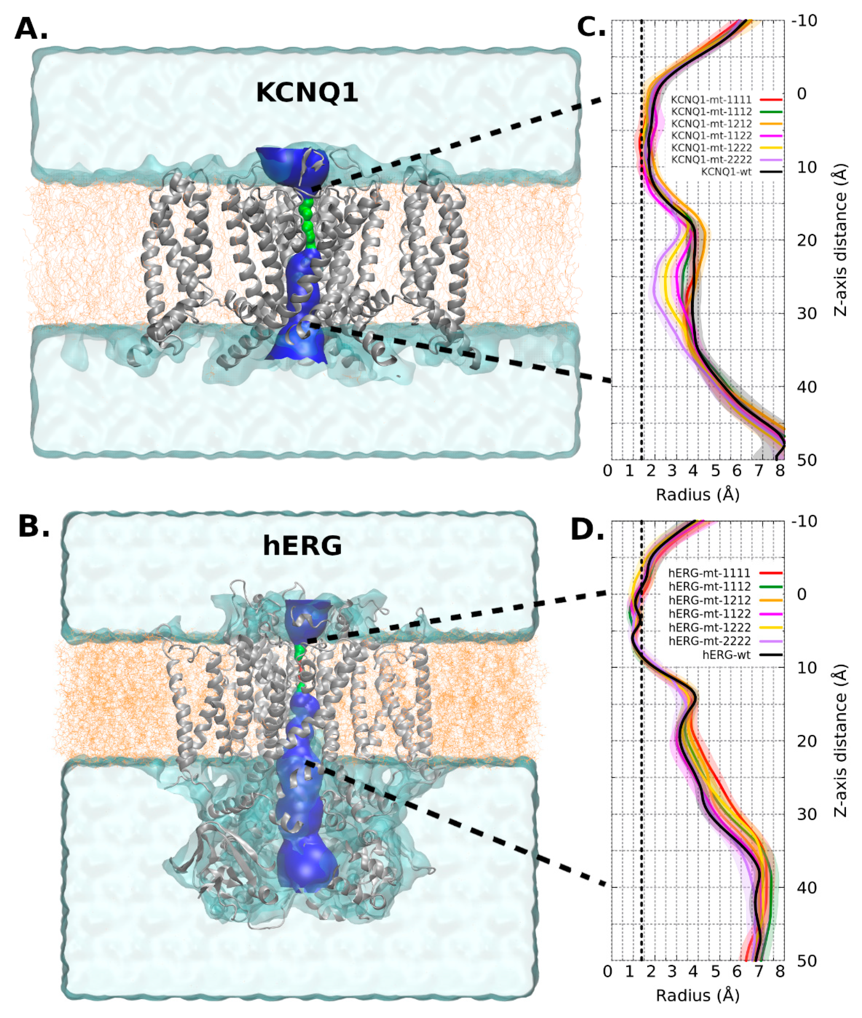 Ijms 22 12861 g005 550